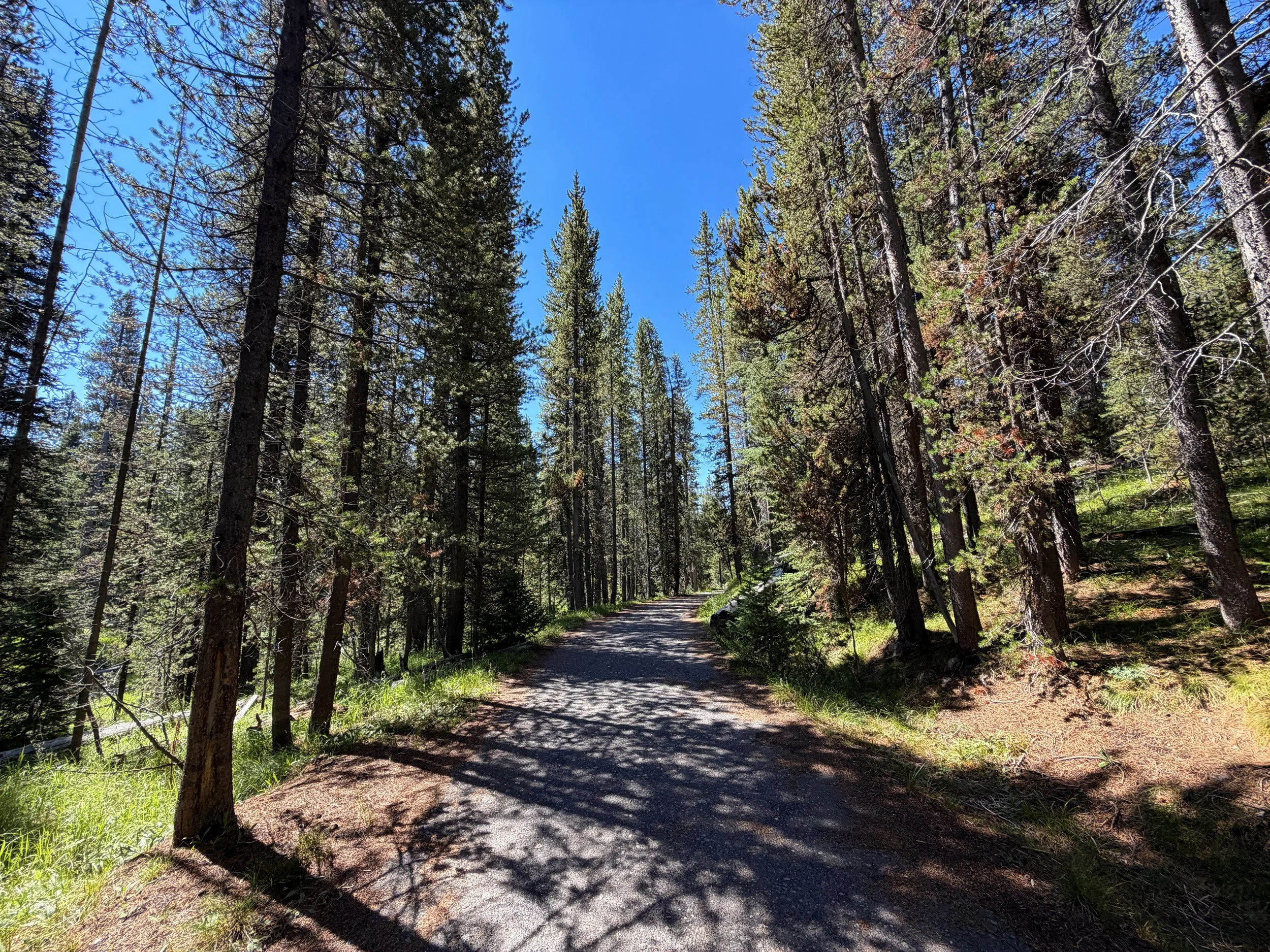 Lone Star Trail Yellowstone National Park Wyoming