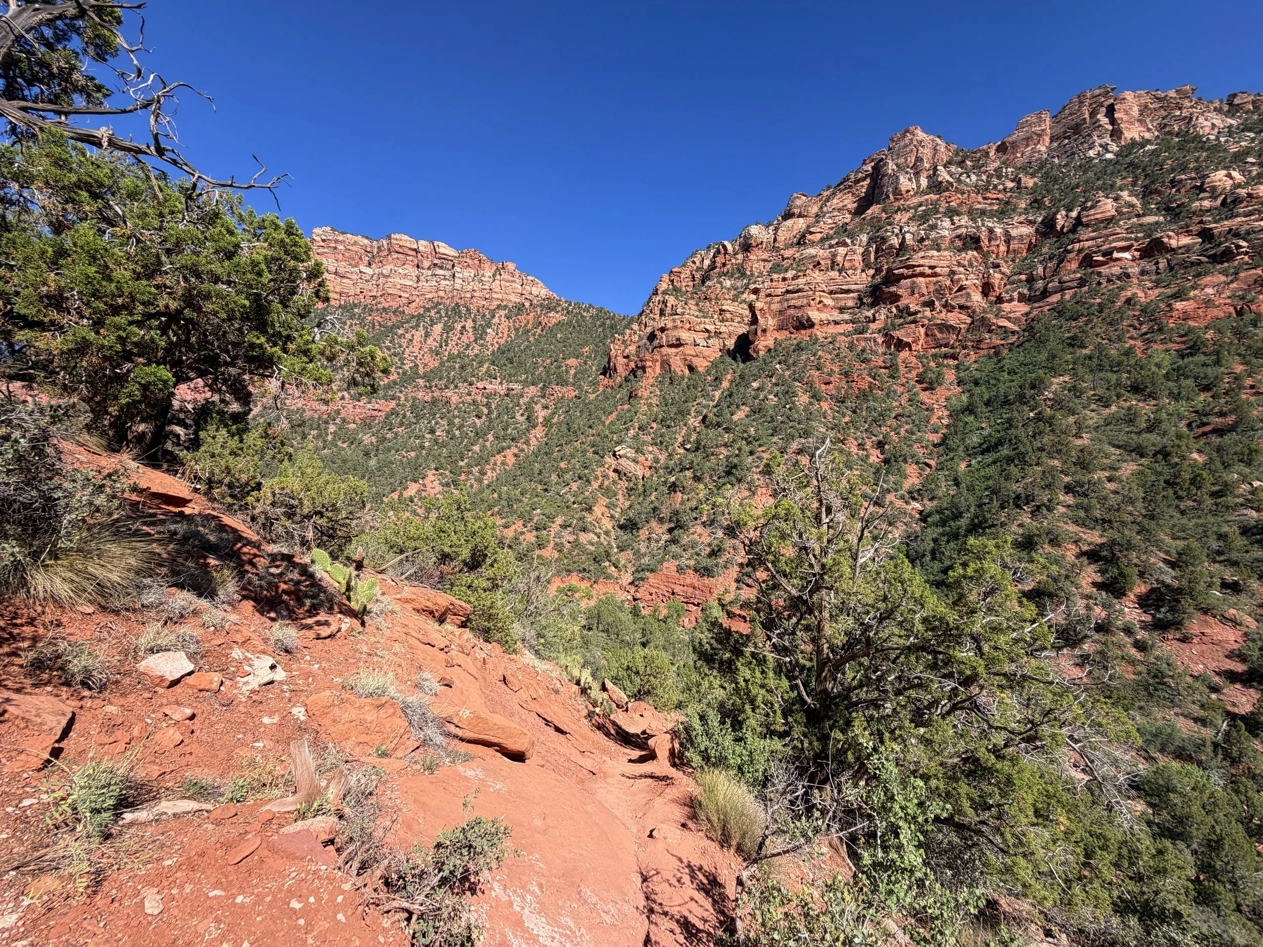 Subway Trail Left Fork North Creek Zion National Park Utah