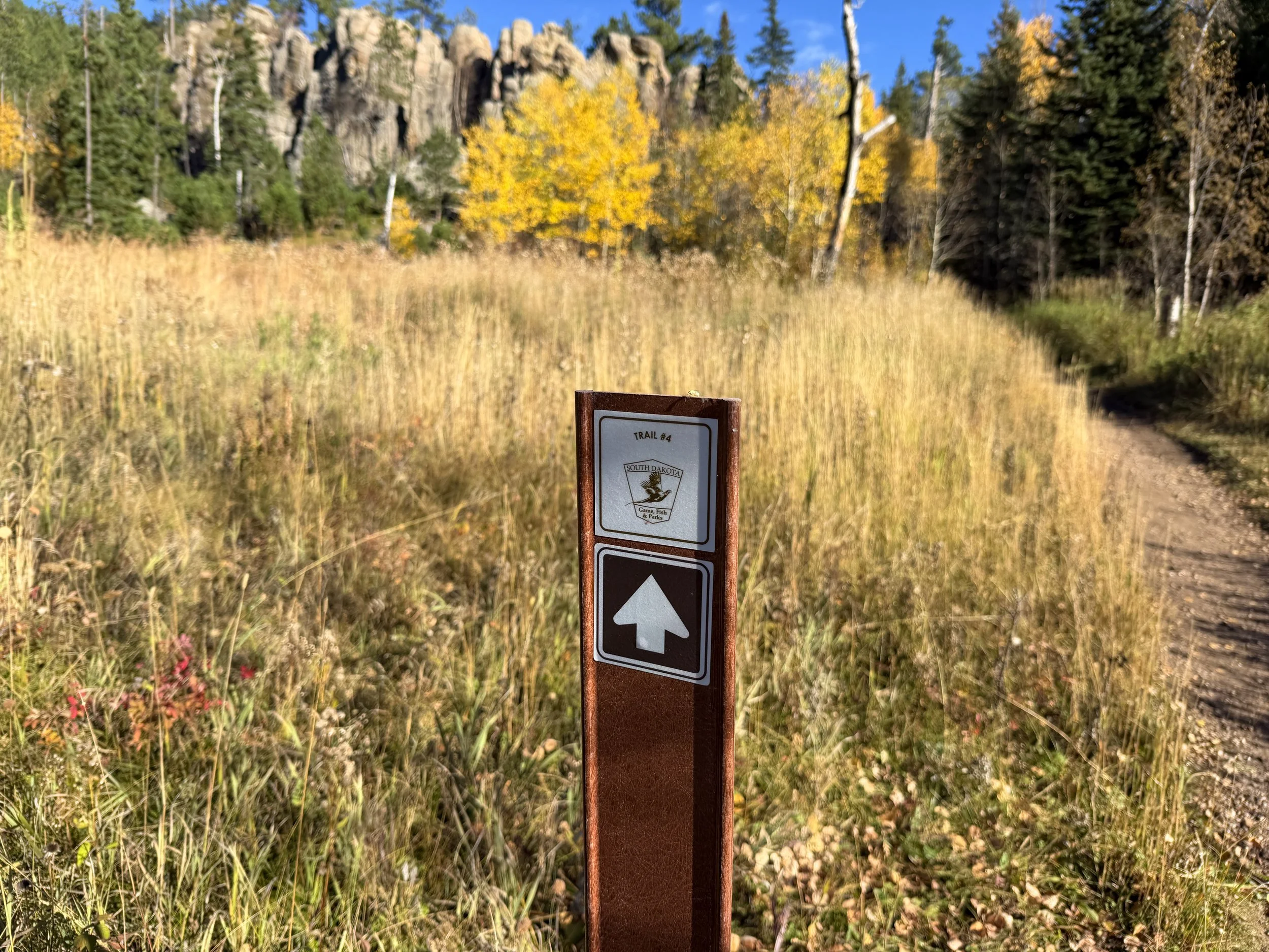 Little Devils Tower Hike Custer State Park Black Hills South Dakota