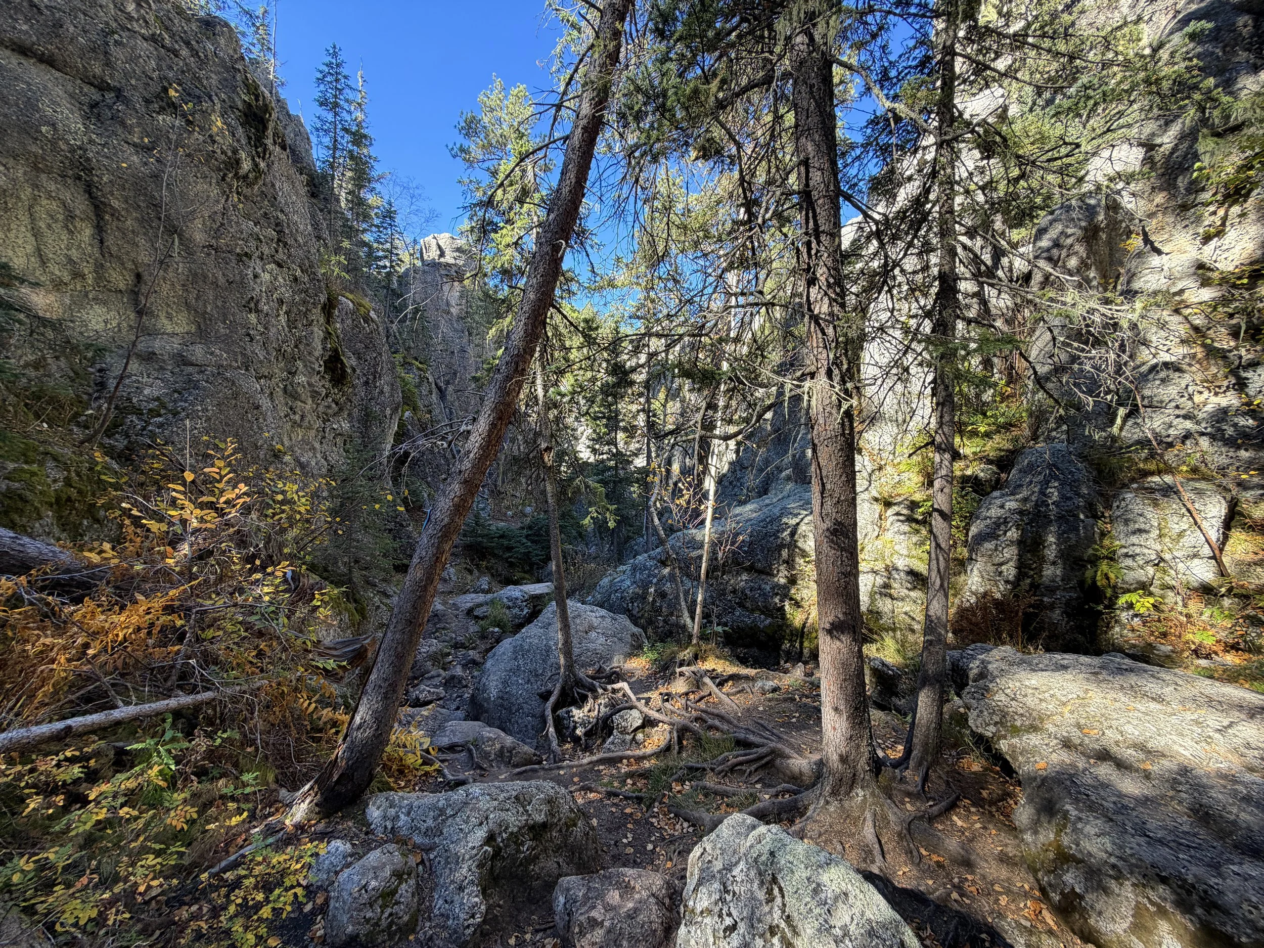 Sunday Gulch Loop Hike Custer State Park Black Hills South Dakota