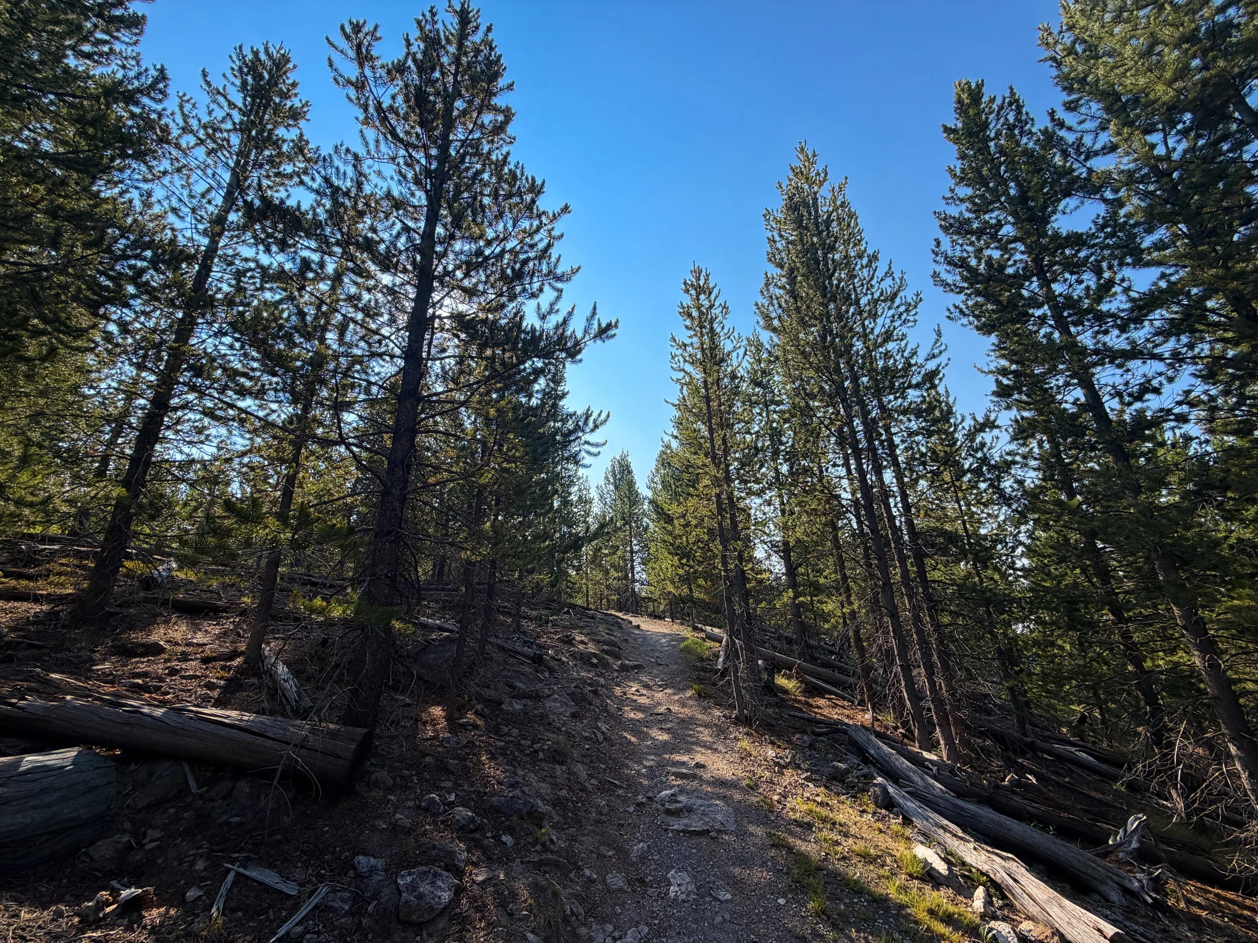 Mystic Falls Loop Trail Yellowstone National Park Wyoming