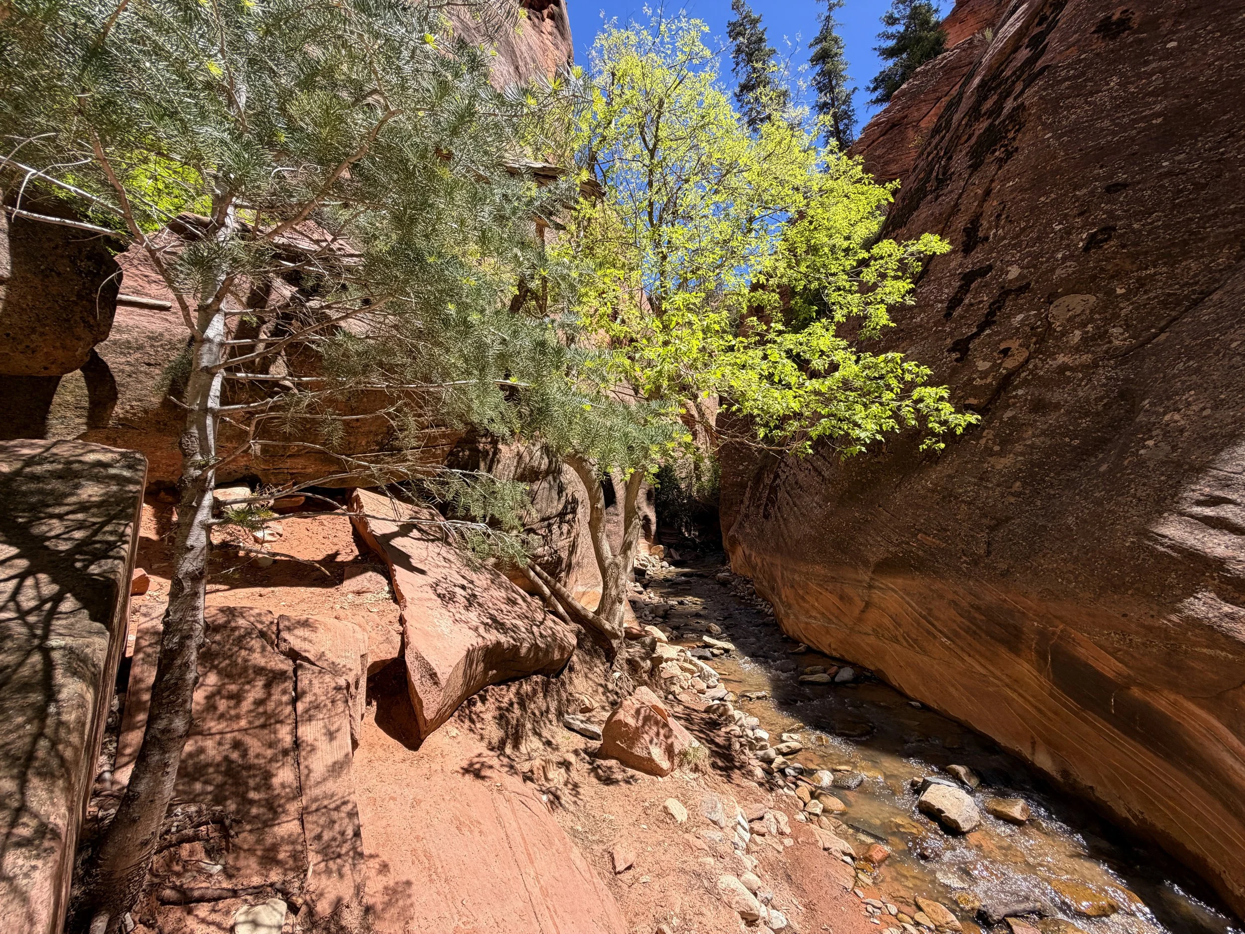 Kanarra Falls Hike Kanarraville Utah