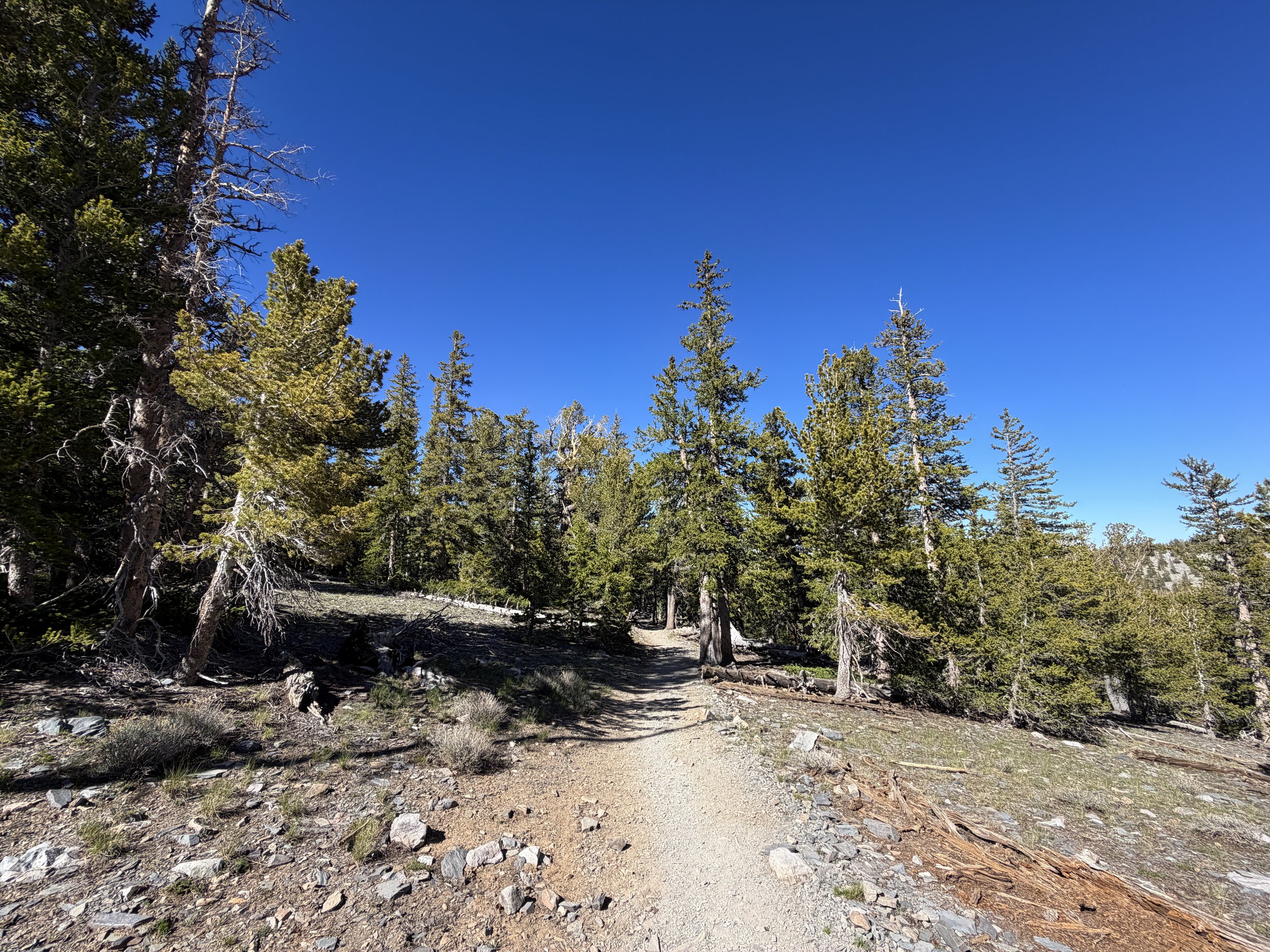 Alpine Lakes Loop Trail Great Basin National Park Nevada