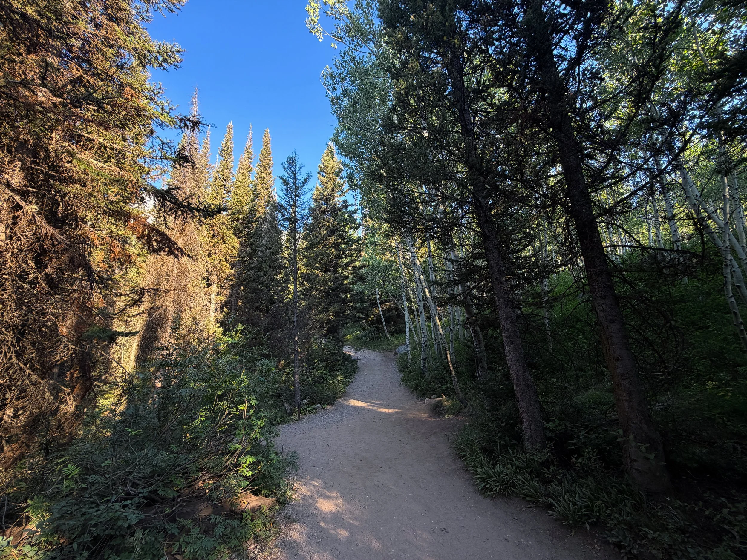 Hidden Falls via Jenny Lake Trail Grand Teton National Park Wyoming