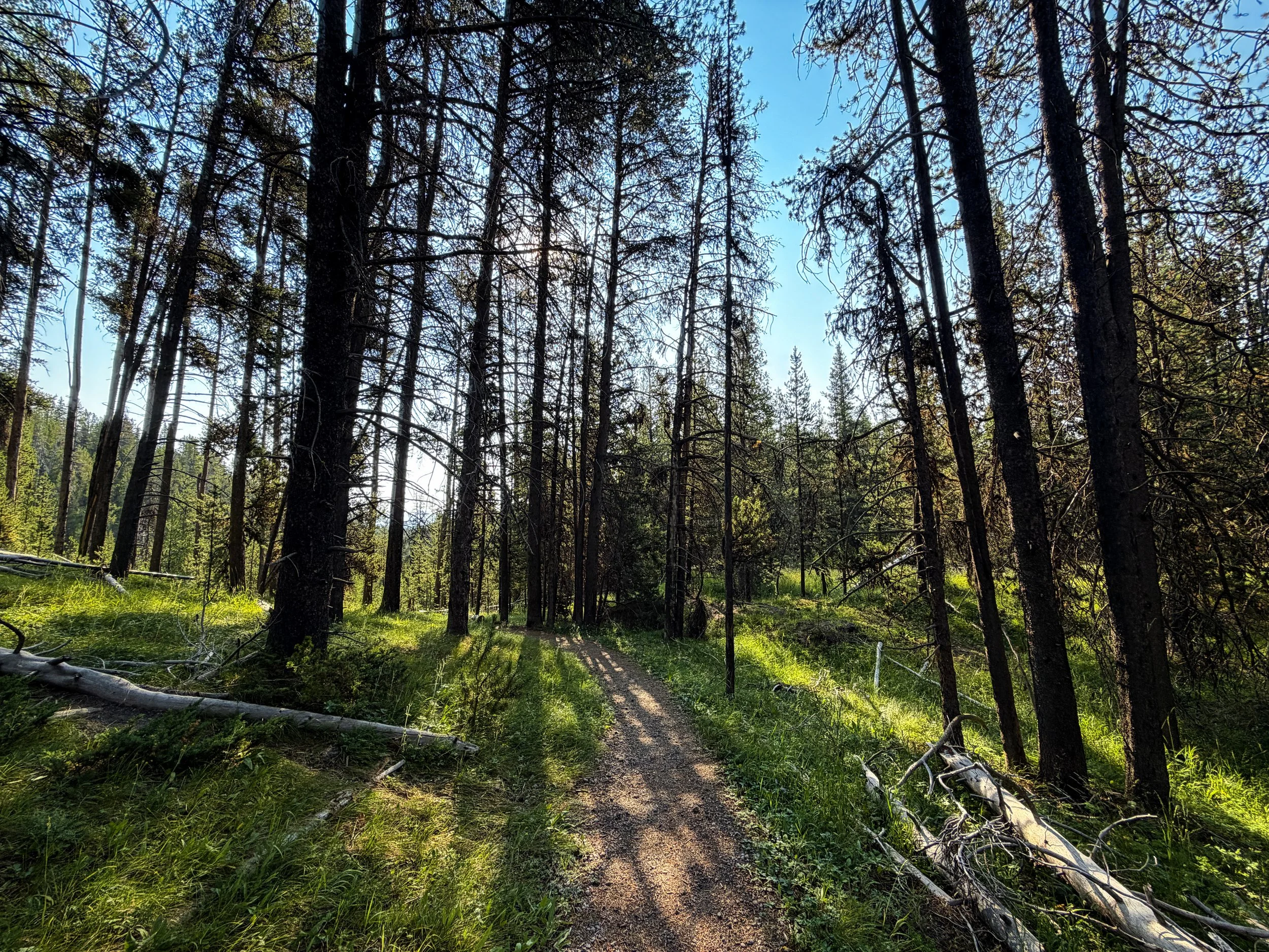Natural Bridge Trail Yellowstone National Park Wyoming