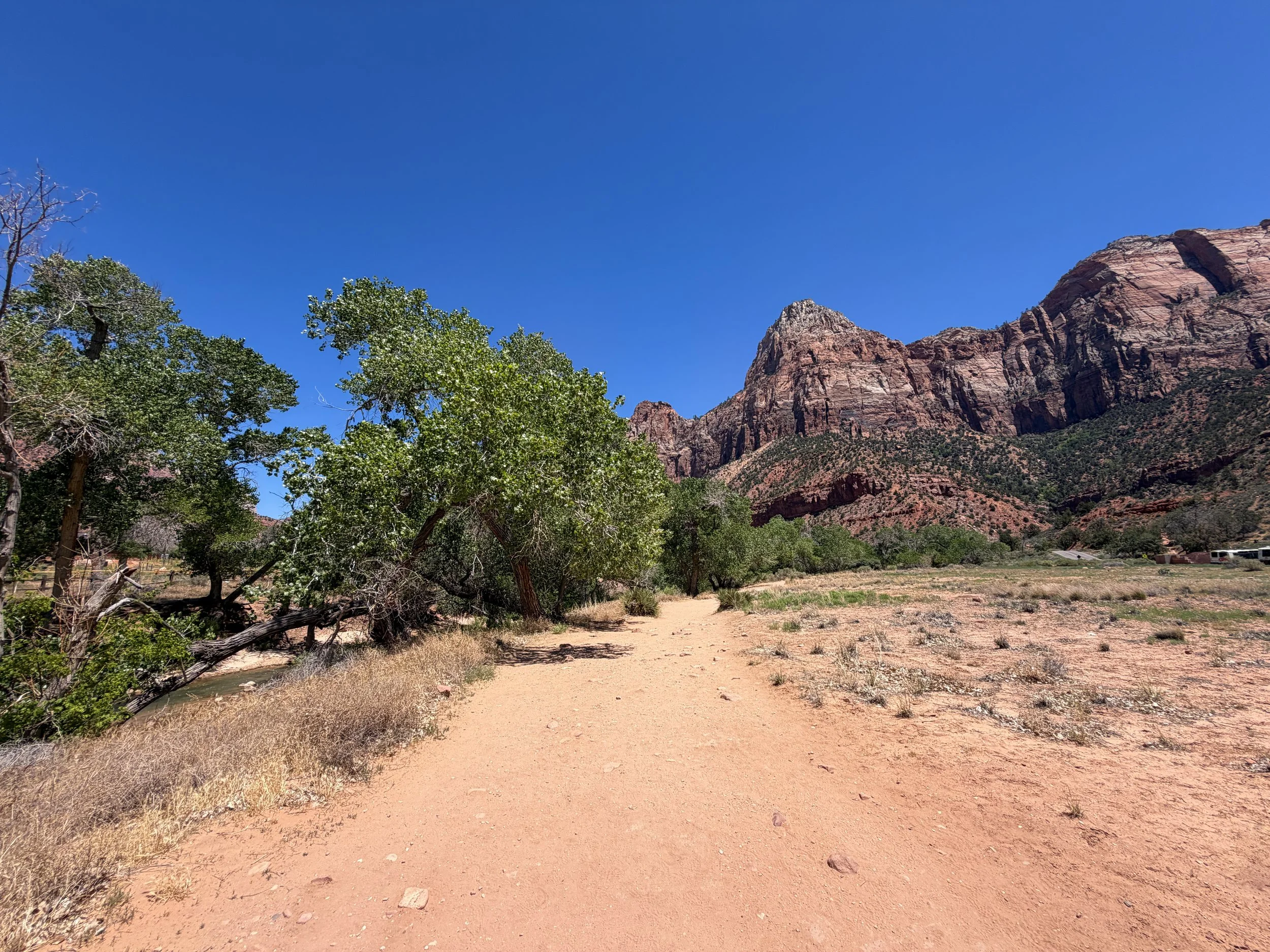 Watchman Trail Zion National Park Utah