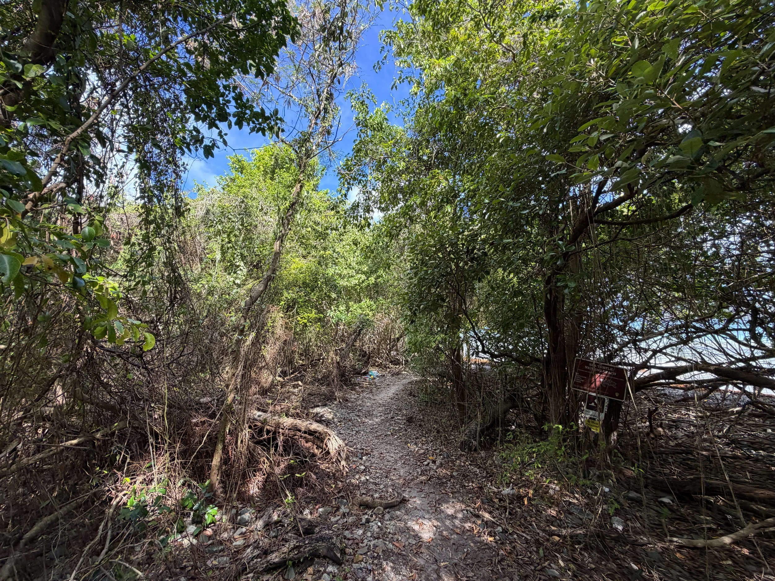 Brown Bay Beach Trail Virgin Islands National Park