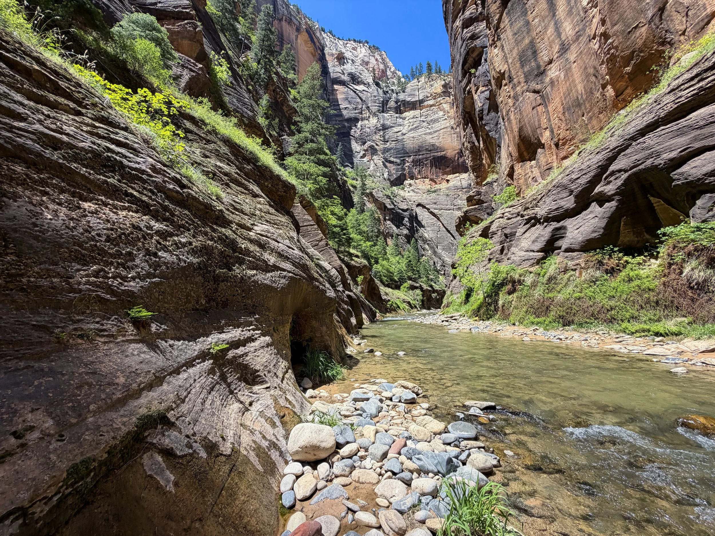 Narrows Hike Zion National Park Utah