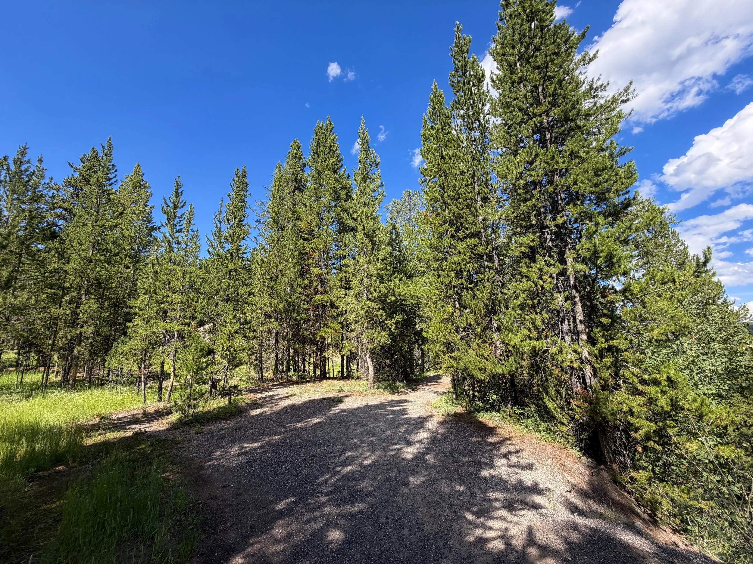 North Rim Hike Yellowstone National Park Wyoming
