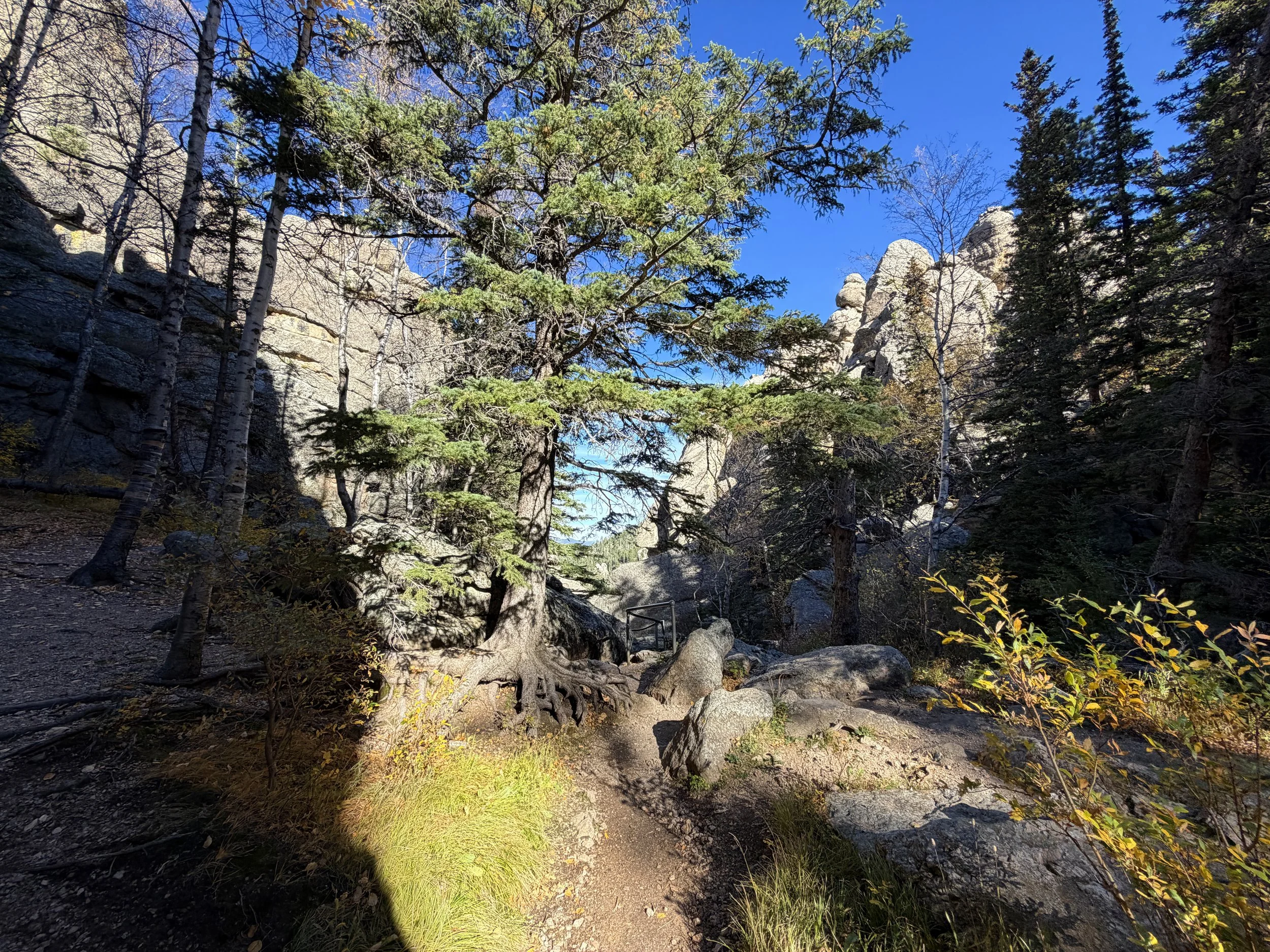 Sunday Gulch Trail Custer State Park Black Hills South Dakota