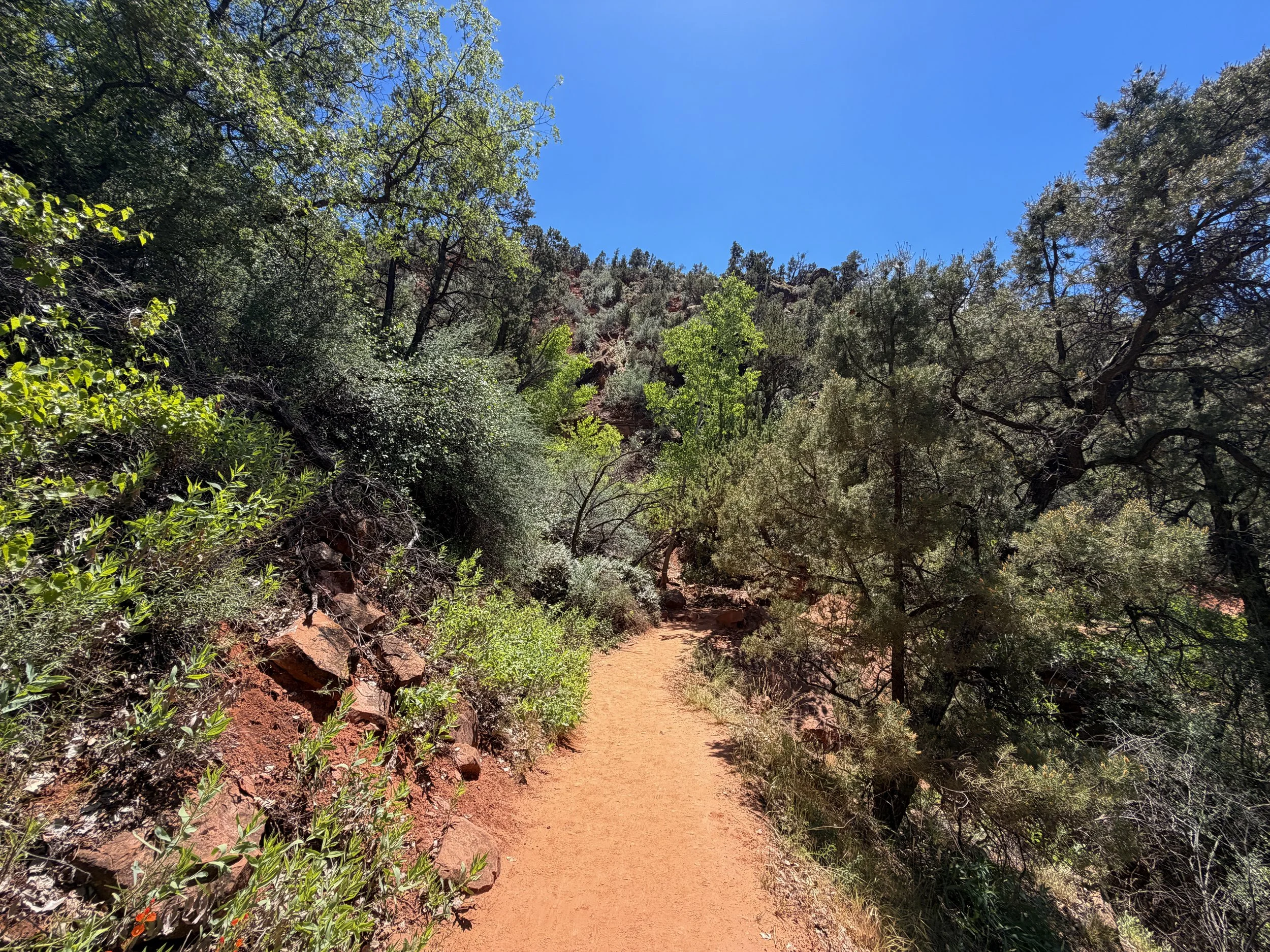 Watchman Trail Zion National Park Utah