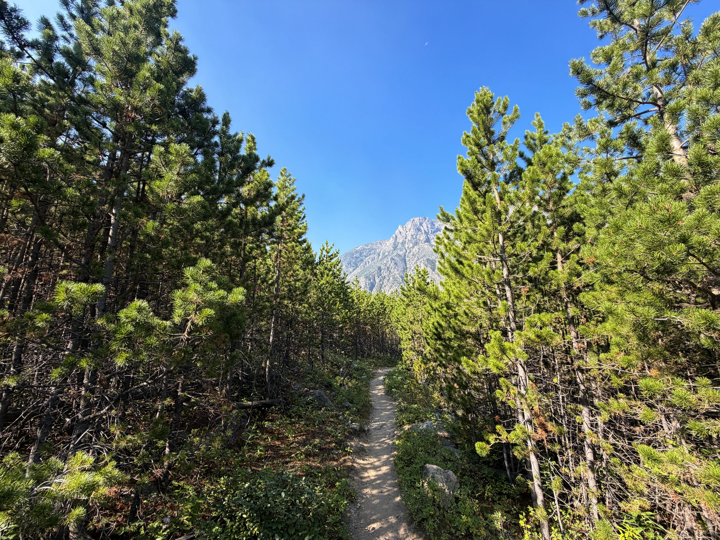 East Rosebud Trail Beartooth Mountains Montana