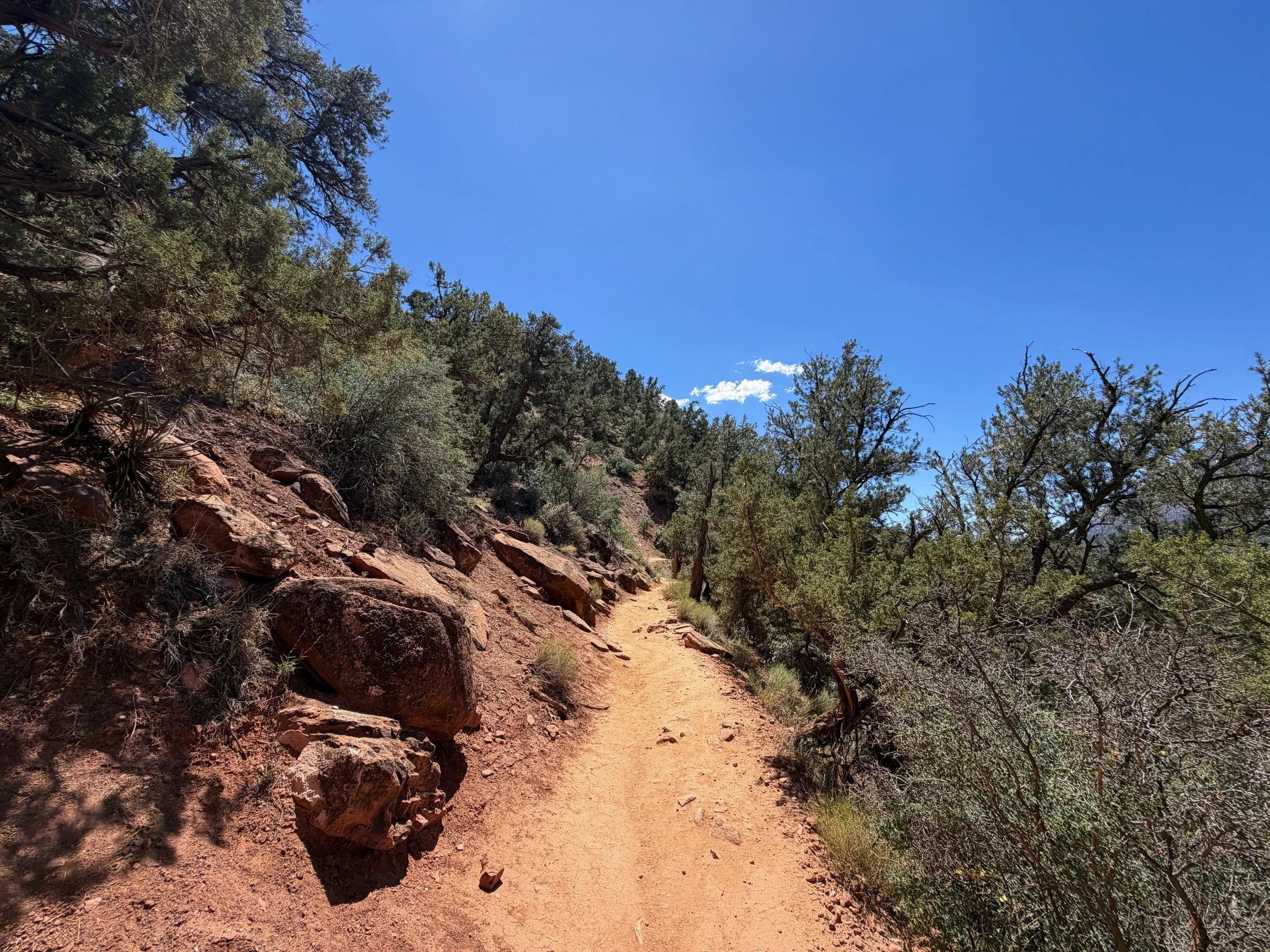 Watchman Trail Zion National Park Utah