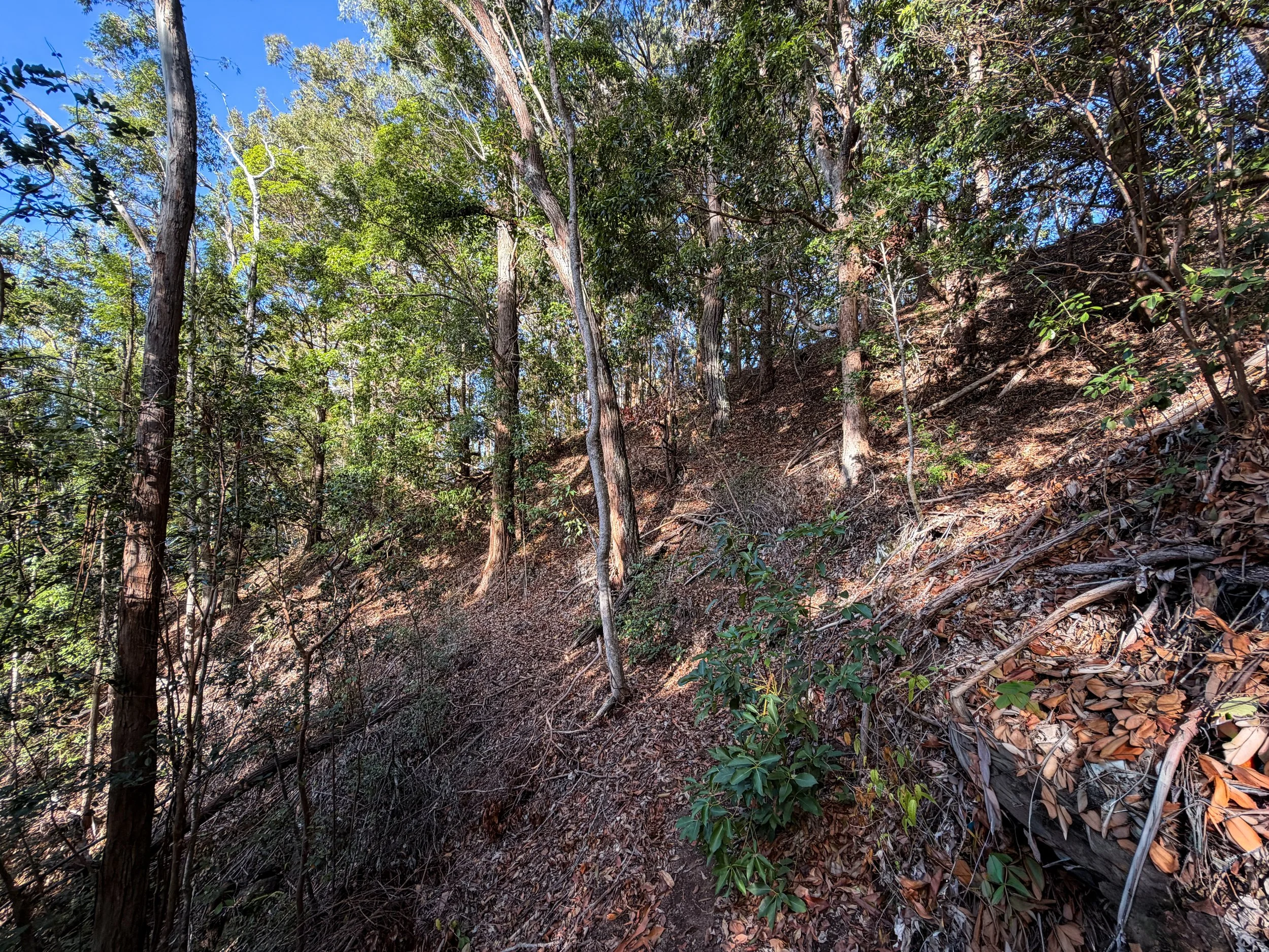 Mokuleia Trail Oahu Hawaii