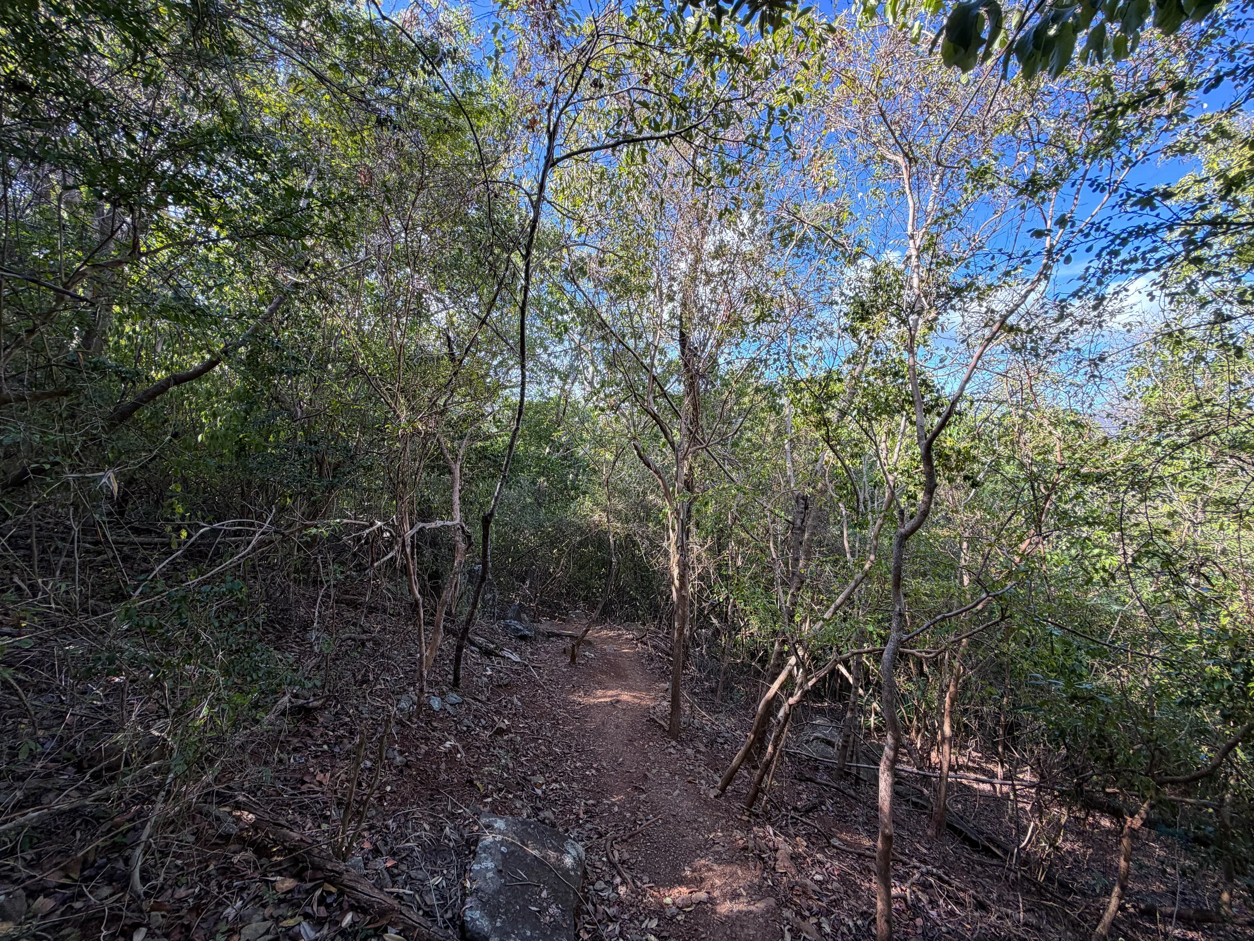 Denis Bay Trail to Oppenheimer Beach Virgin Islands National Park