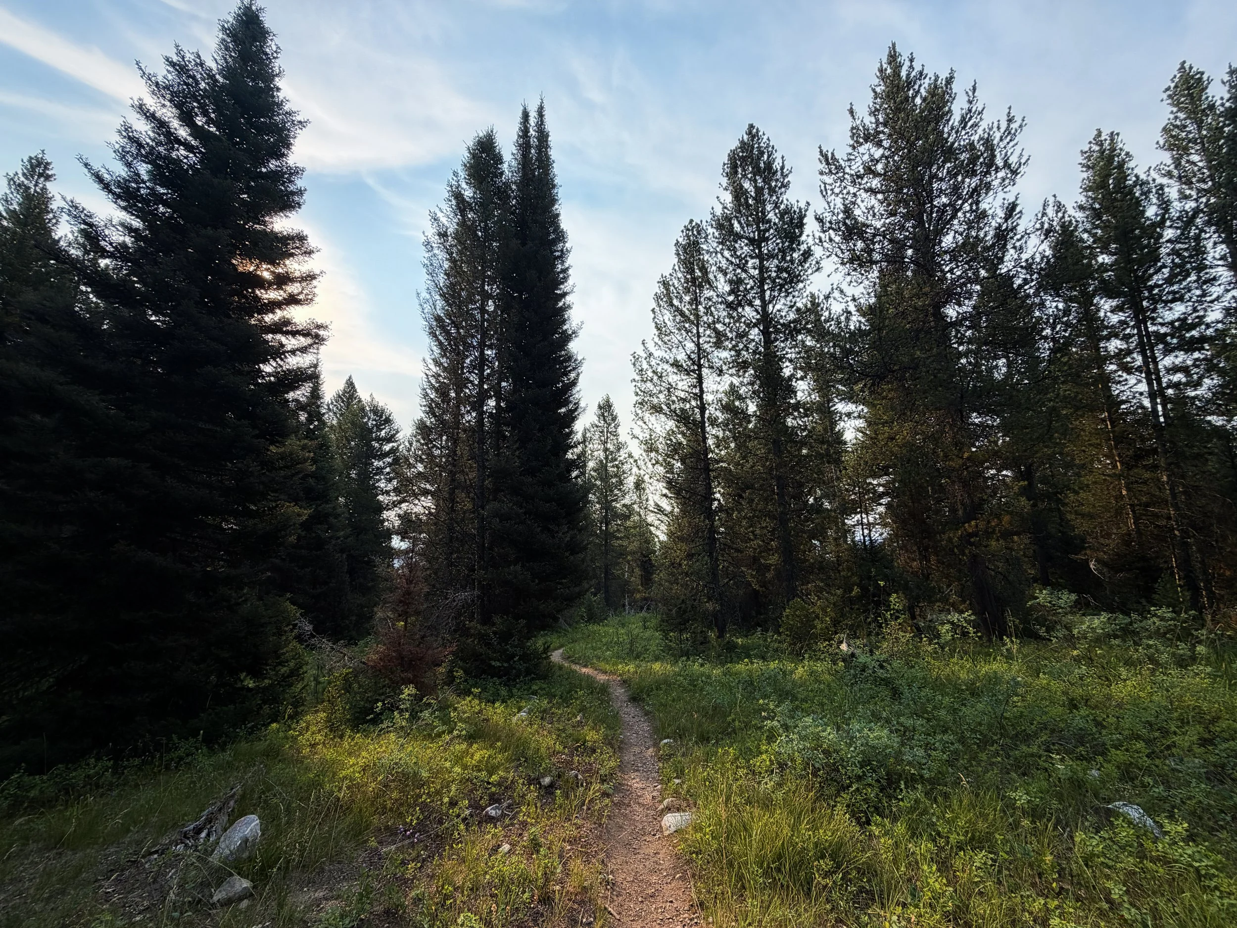 Aspen Boulder Ridge Loop Trail Grand Teton National Park Wyoming