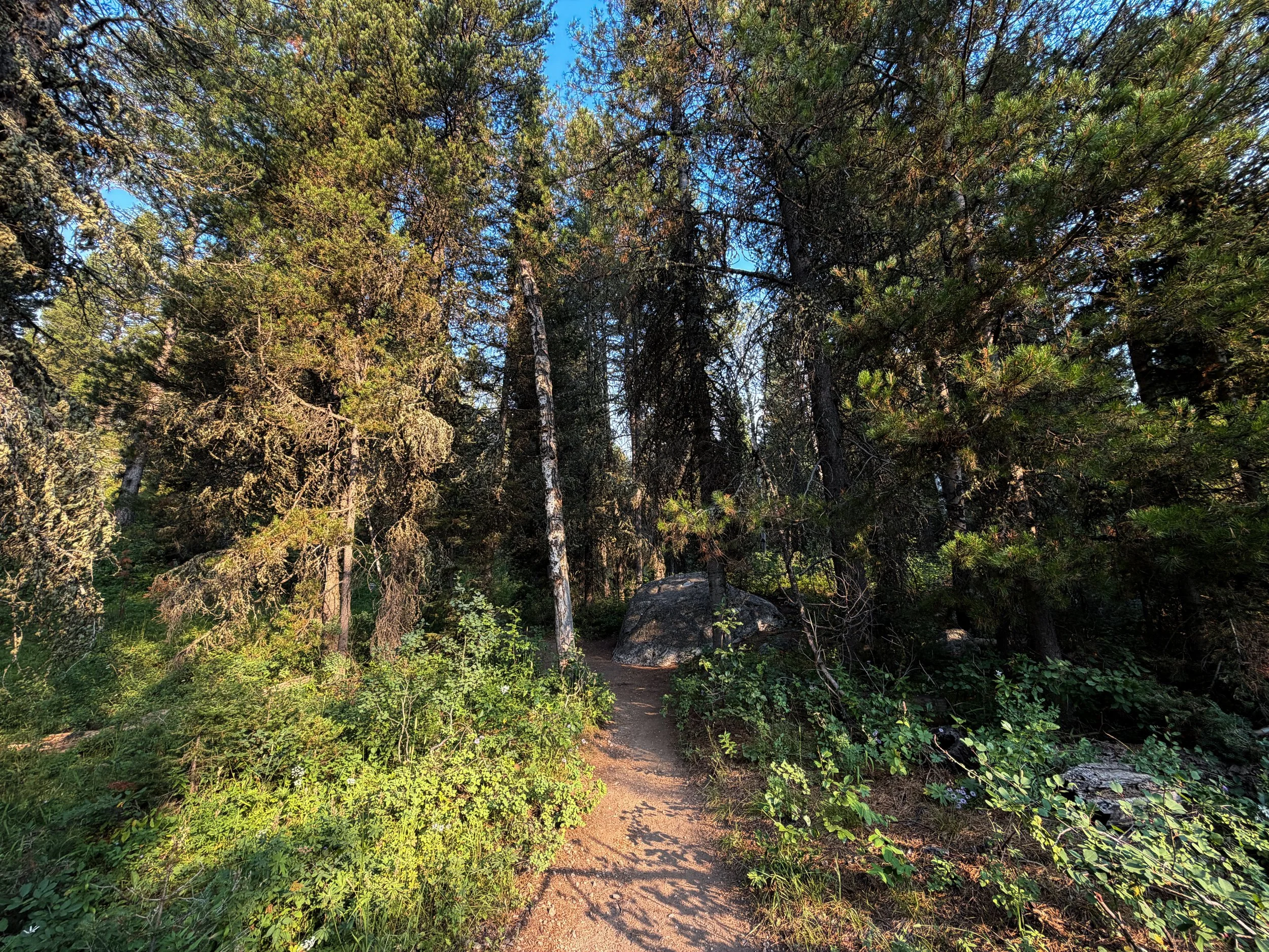 Boulder Ridge Loop Trail Grand Teton National Park Wyoming
