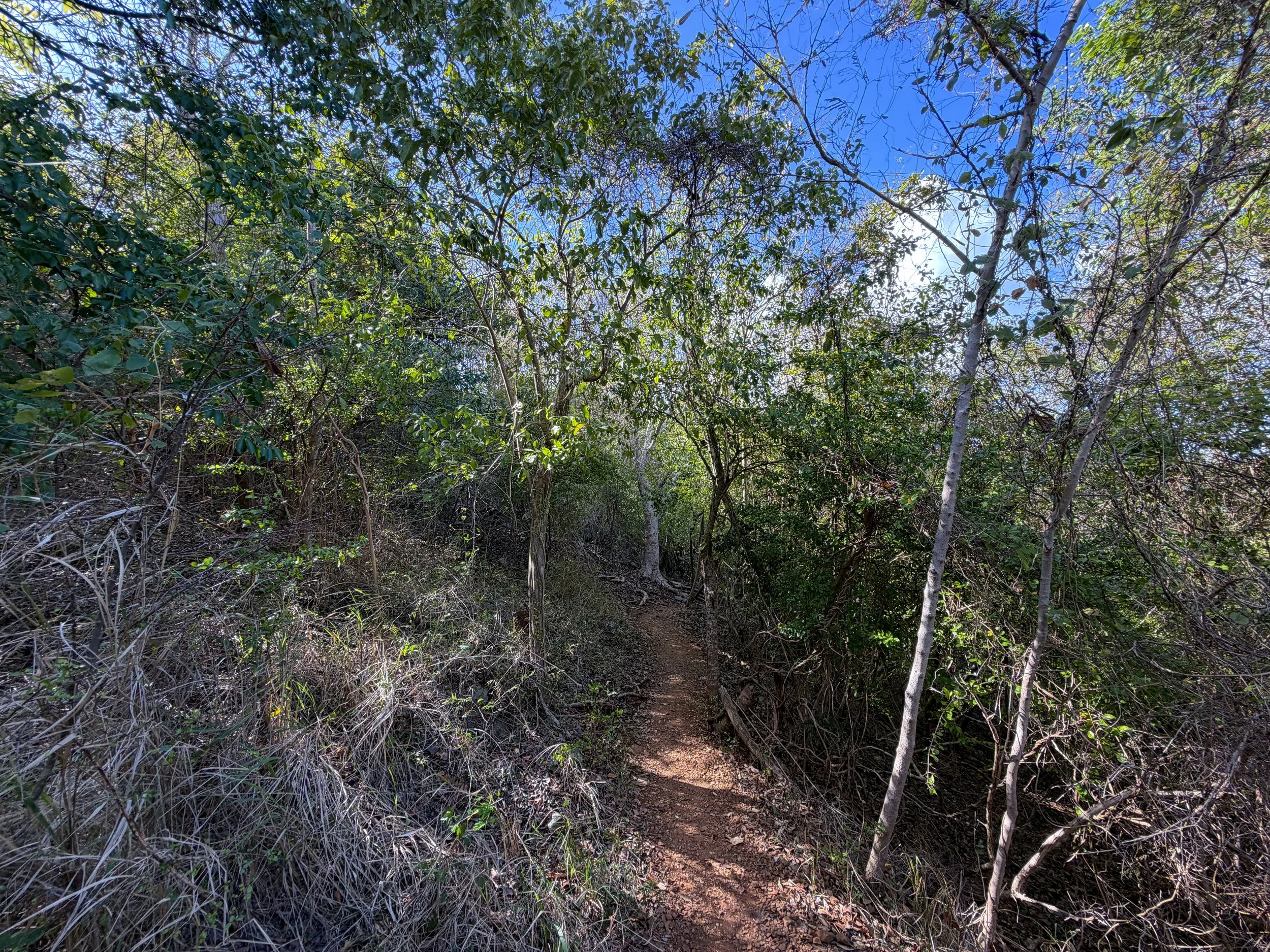 Denis Bay Trail to Oppenheimer Beach Virgin Islands National Park