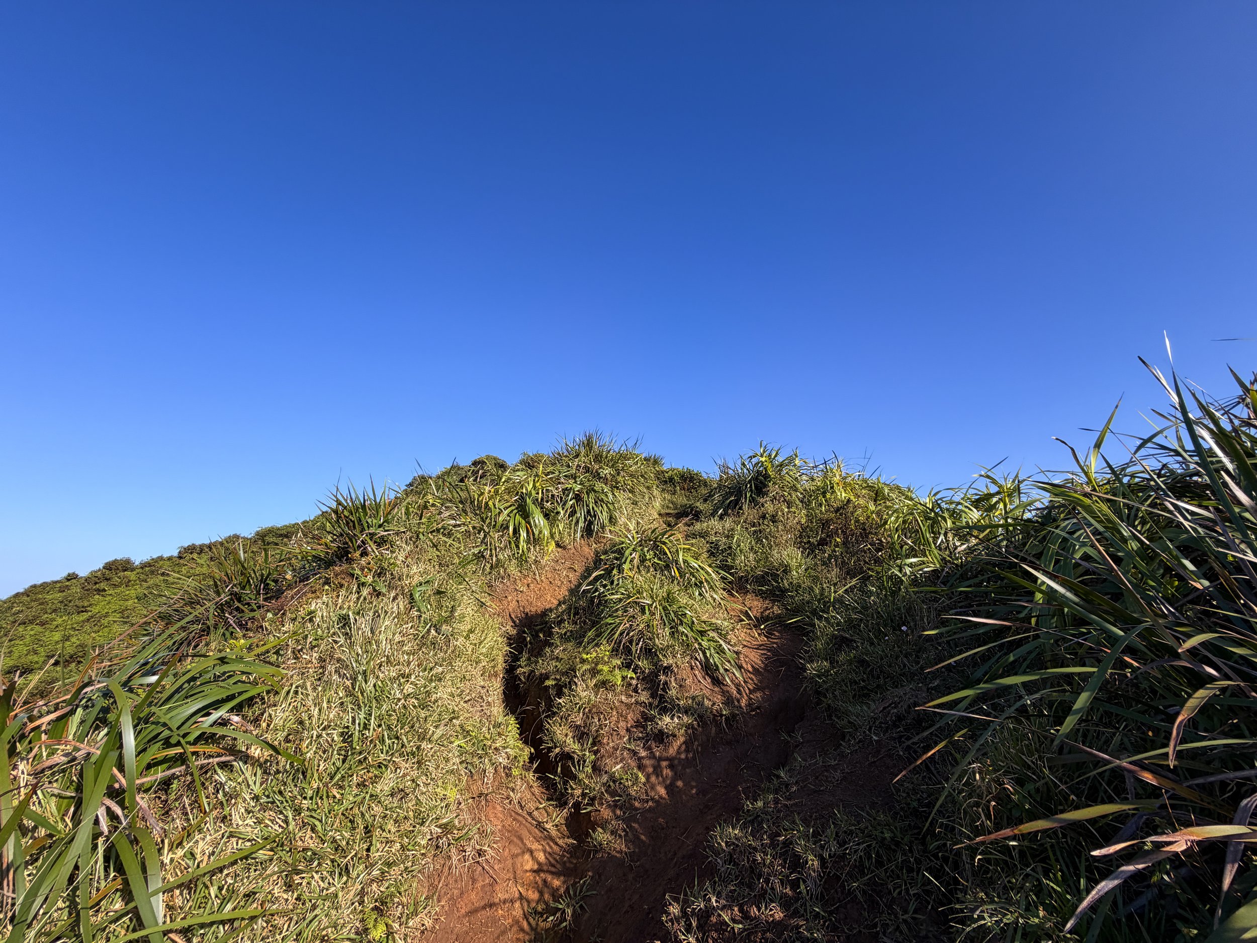 Moanalua Middle Ridge Trail to Stairway to Heaven Oahu Hawaii