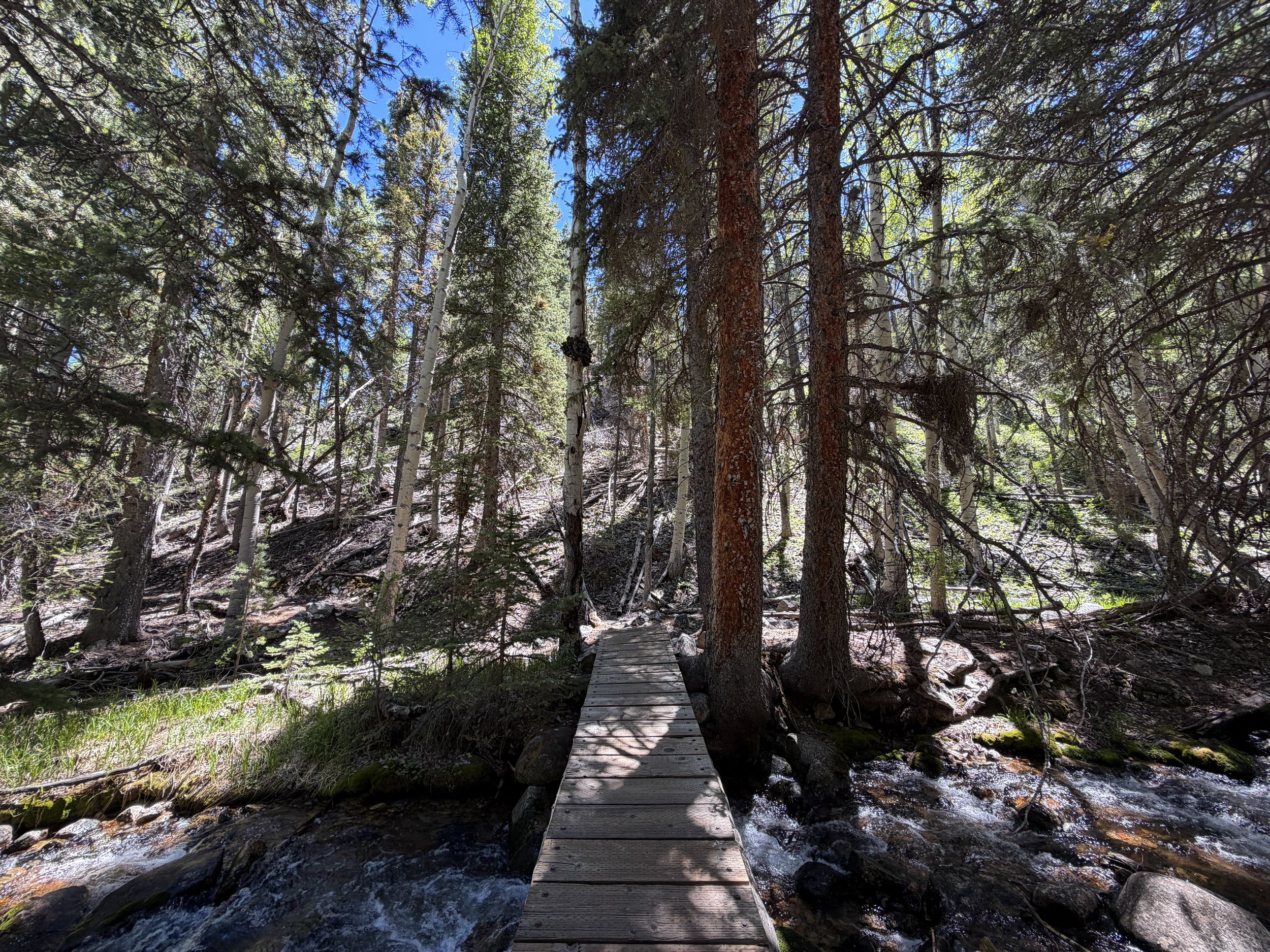 Baker Creek Loop Trail Great Basin National Park Nevada