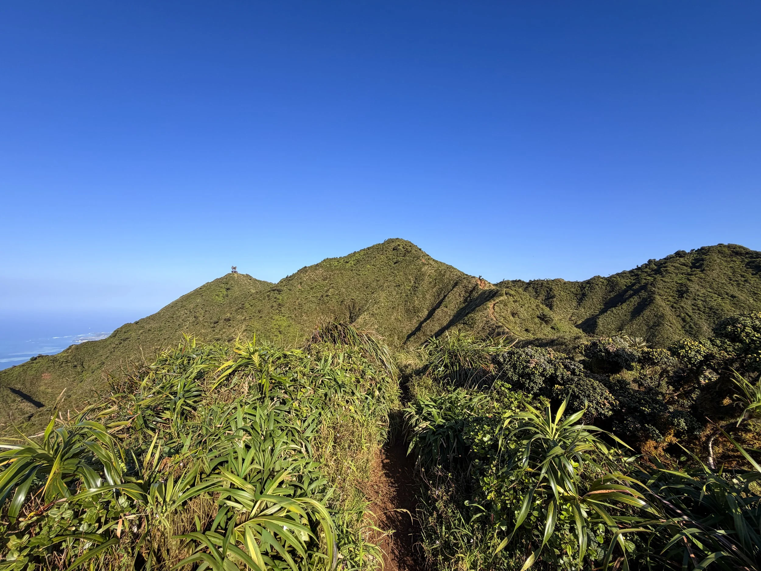 Moanalua Middle Ridge Trail to Stairway to Heaven Oahu Hawaii