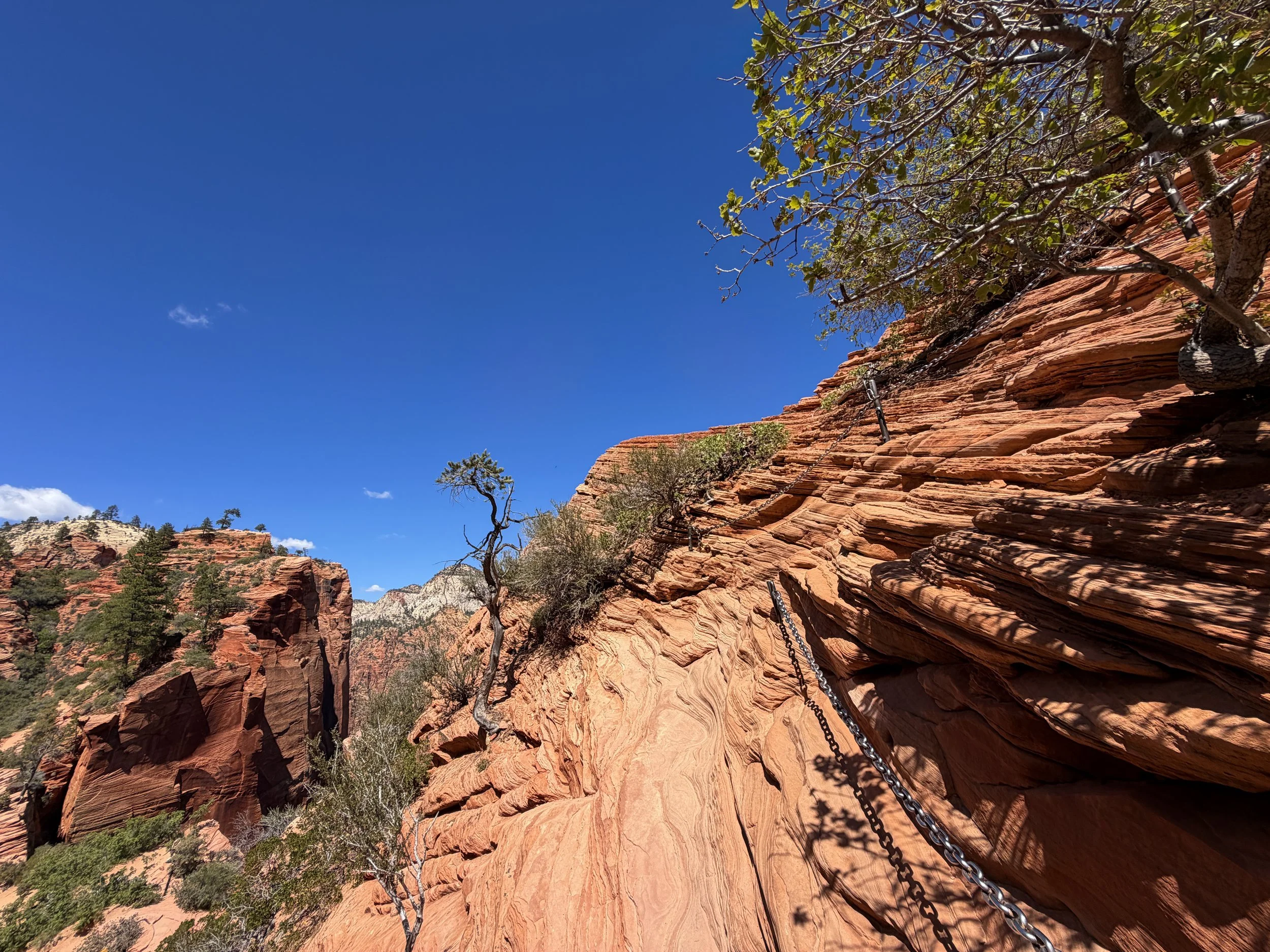 Angels Landing Trail Chains Zion National Park Utah
