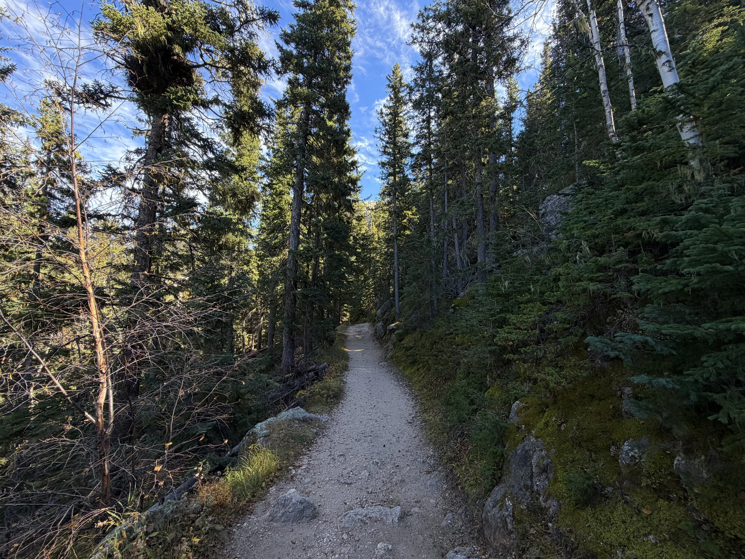 Black Elk Peak Trail Custer State Park Black Hills South Dakota