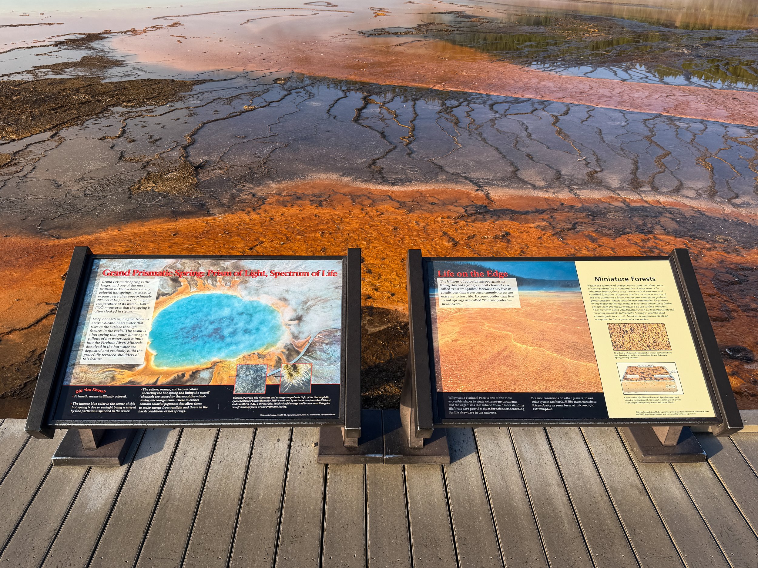 Grand Prismatic Spring Trail Yellowstone National Park Wyoming