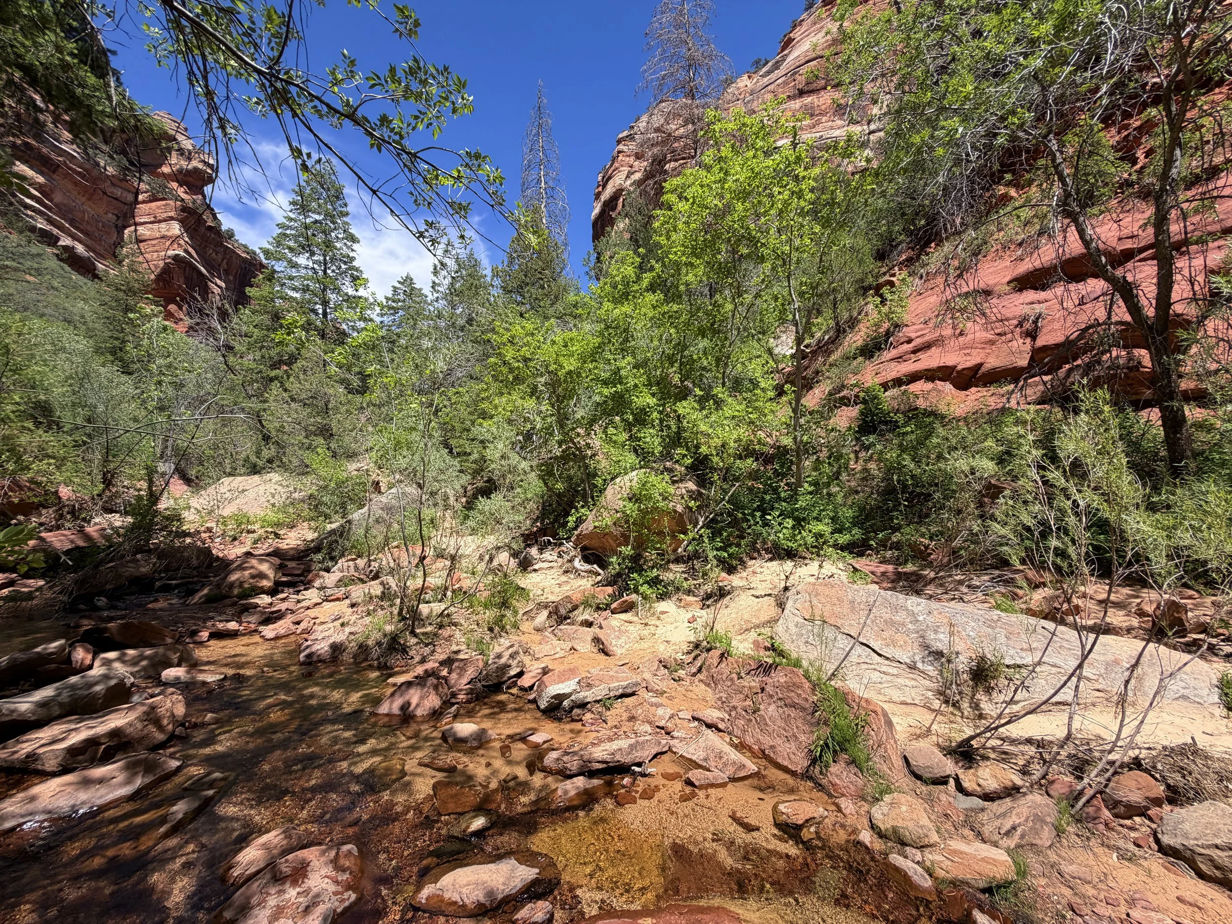 Left Fork North Creek Trail to the Subway Zion National Park Utah