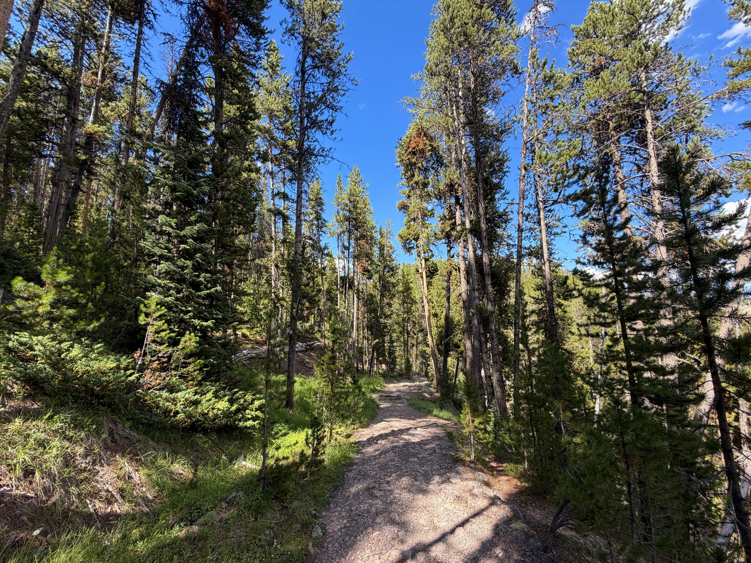 North Rim Trail Yellowstone National Park Wyoming