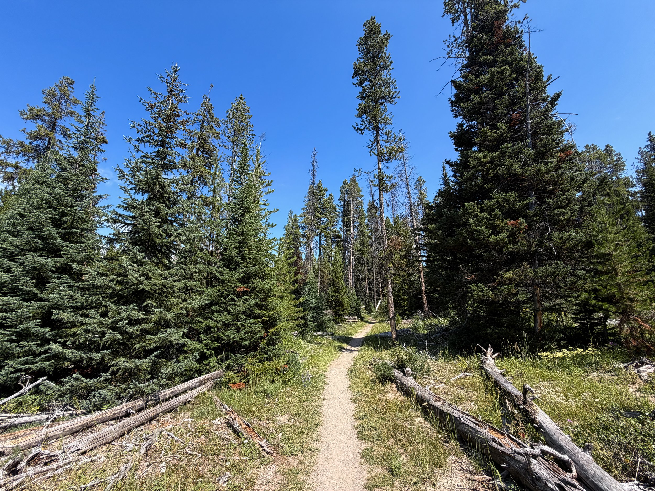 Storm Point Trail Yellowstone National Park Wyoming