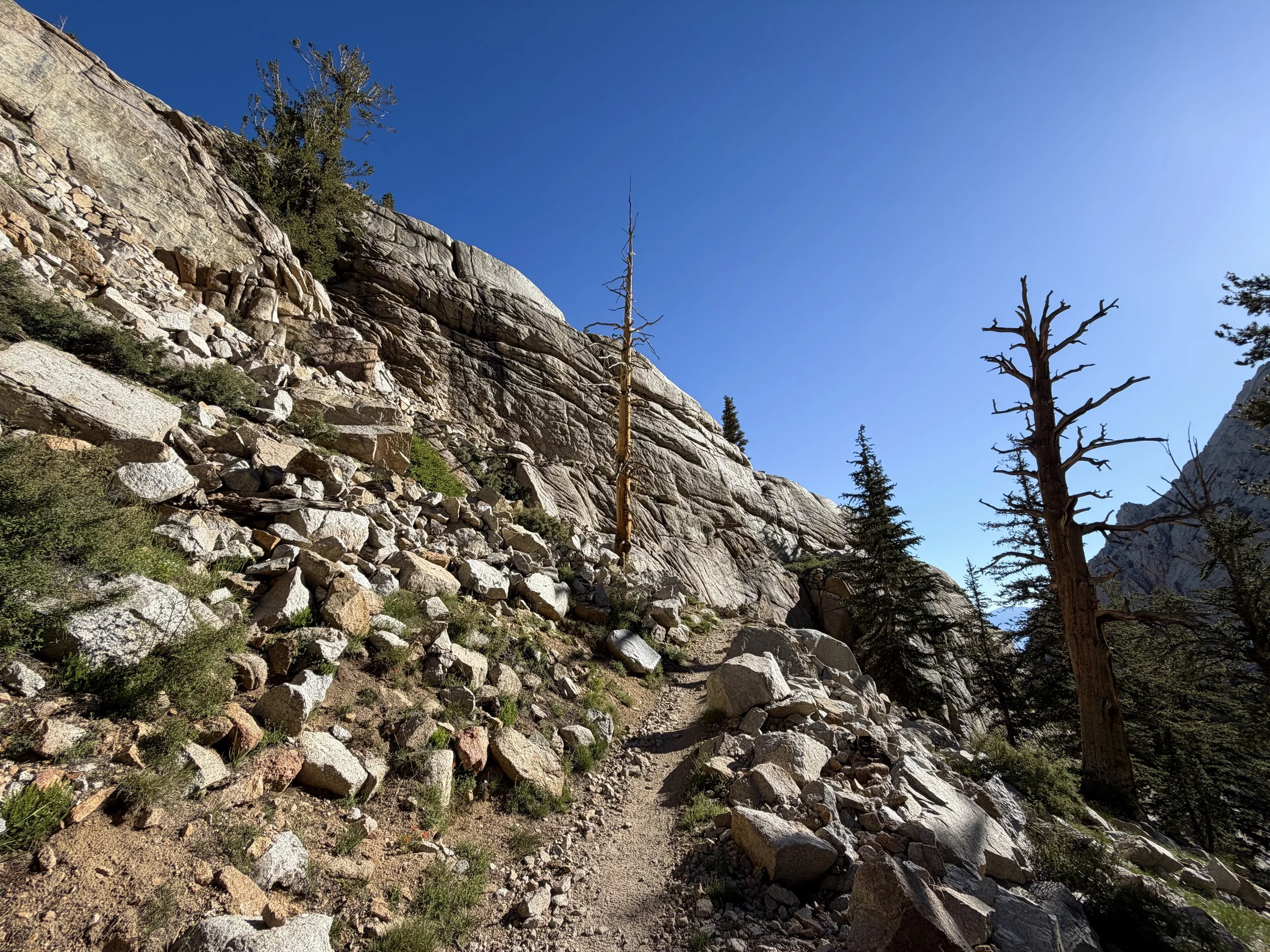 Mt. Whitney Trail California