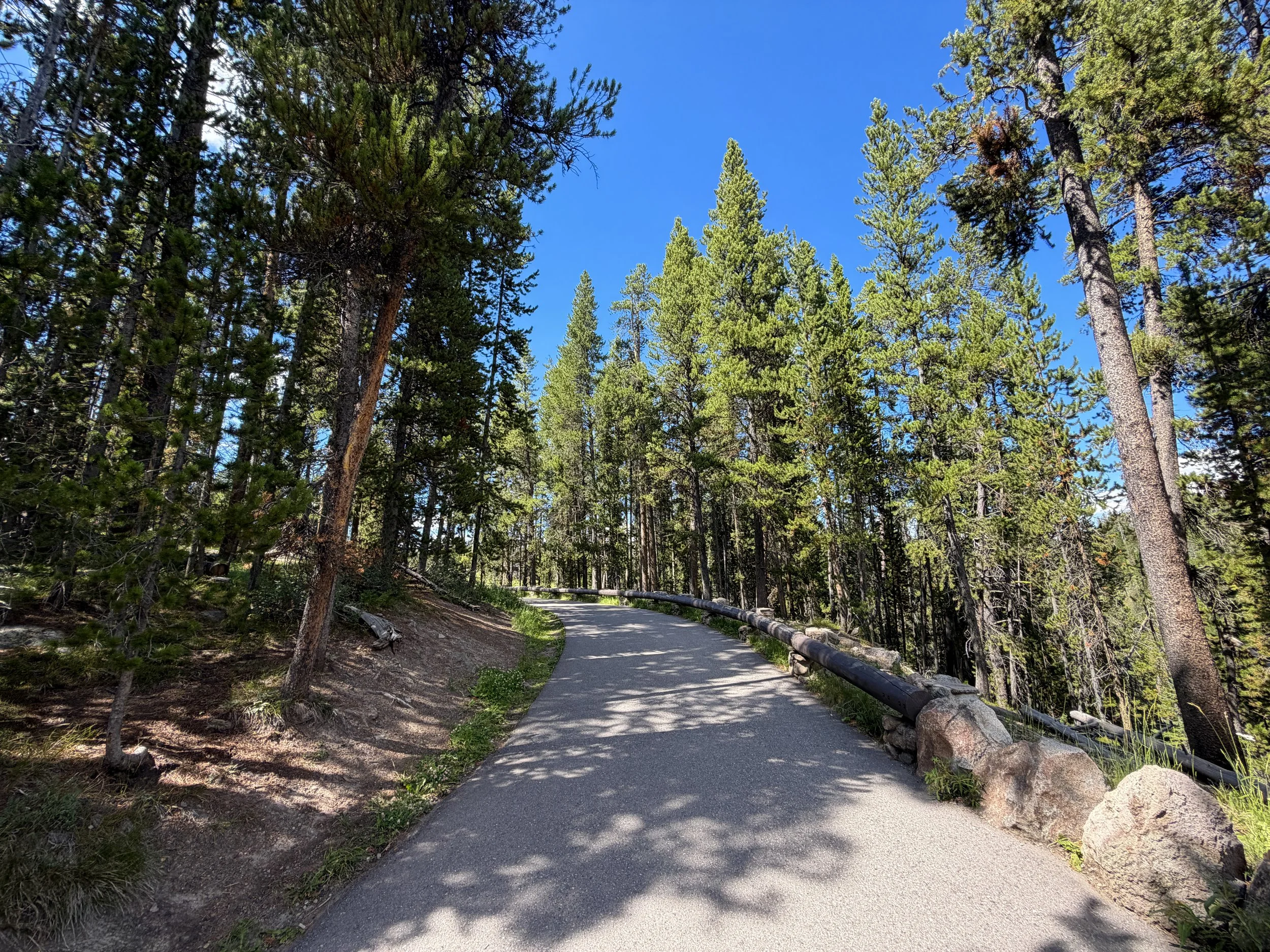North Rim Trail Yellowstone National Park Wyoming