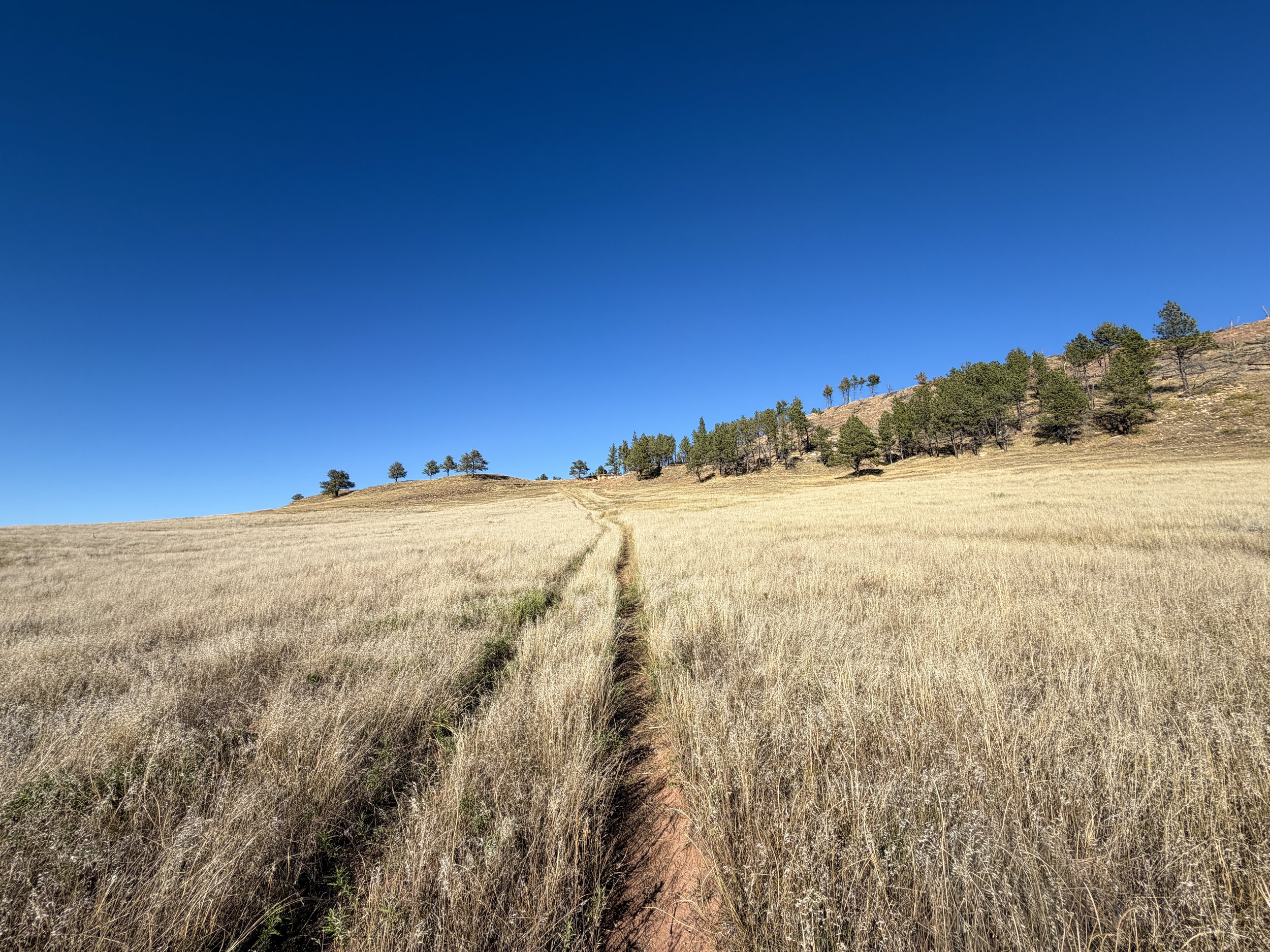 Boland Ridge Trail Wind Cave National Park South Dakota