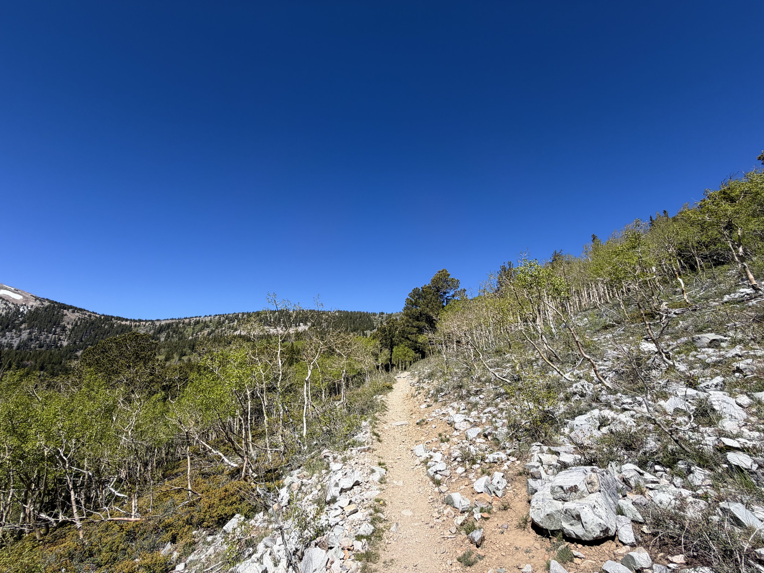 Wheeler Peak Summit Hike Great Basin National Park Nevada