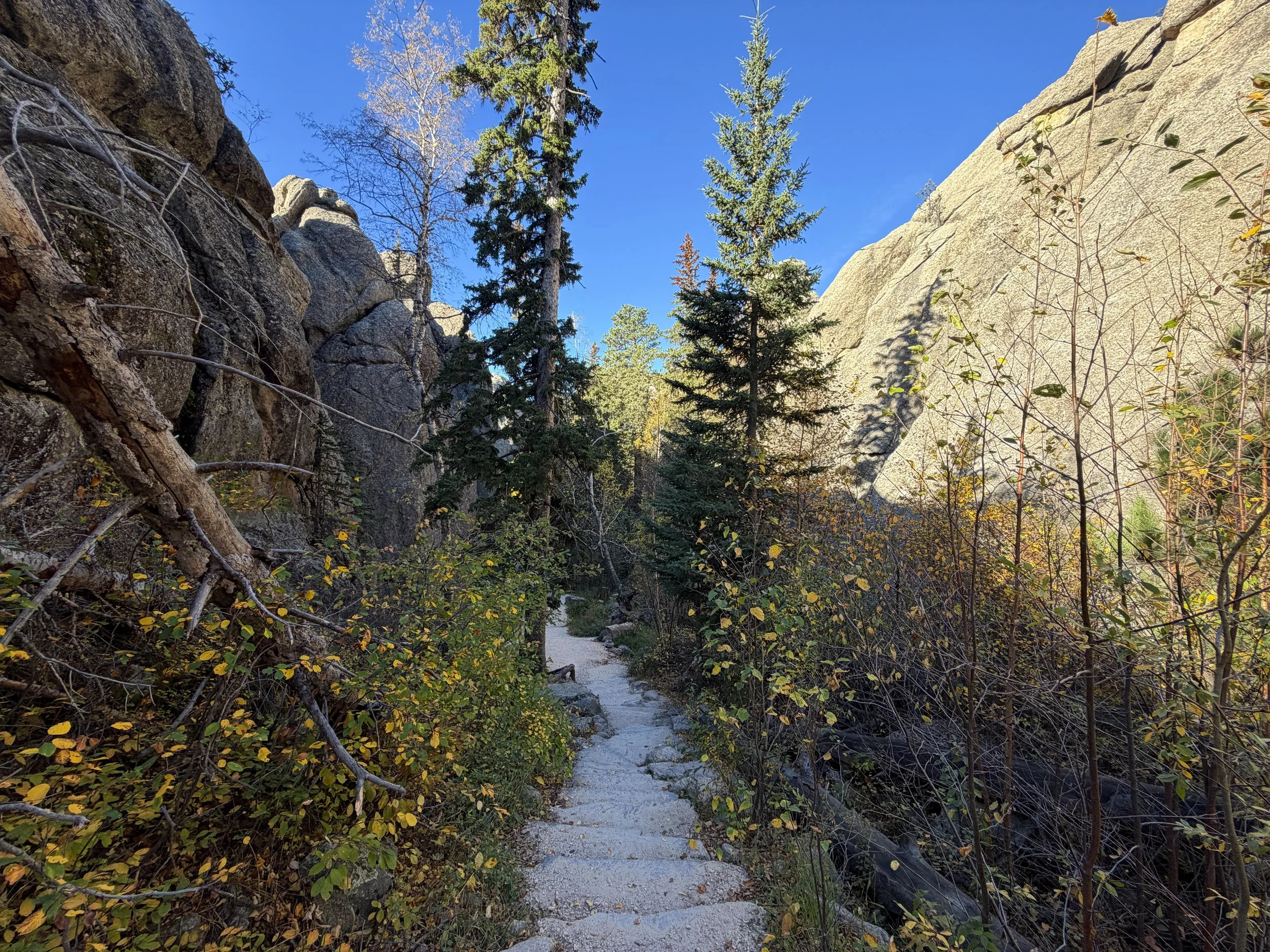 Sylvan Lake to Sunday Gulch Trail Custer State Park Black Hills South Dakota