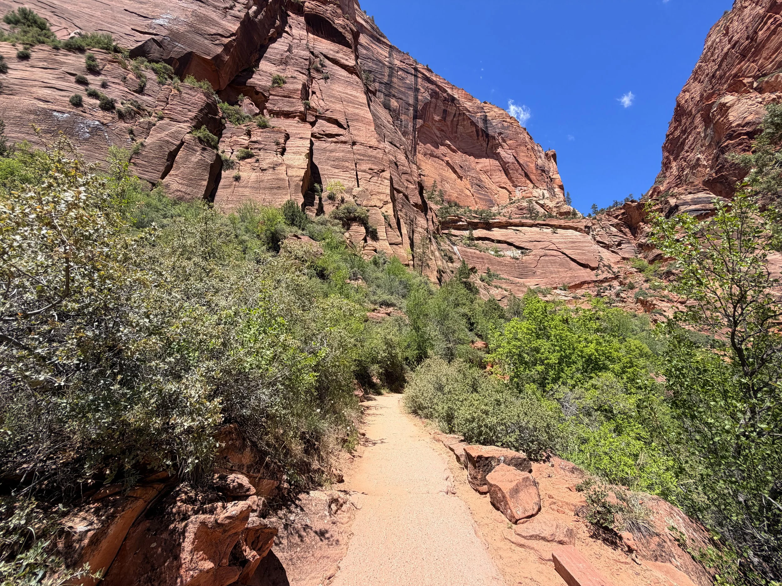 Angels Landing Trail Switchbacks Zion National Park Utah