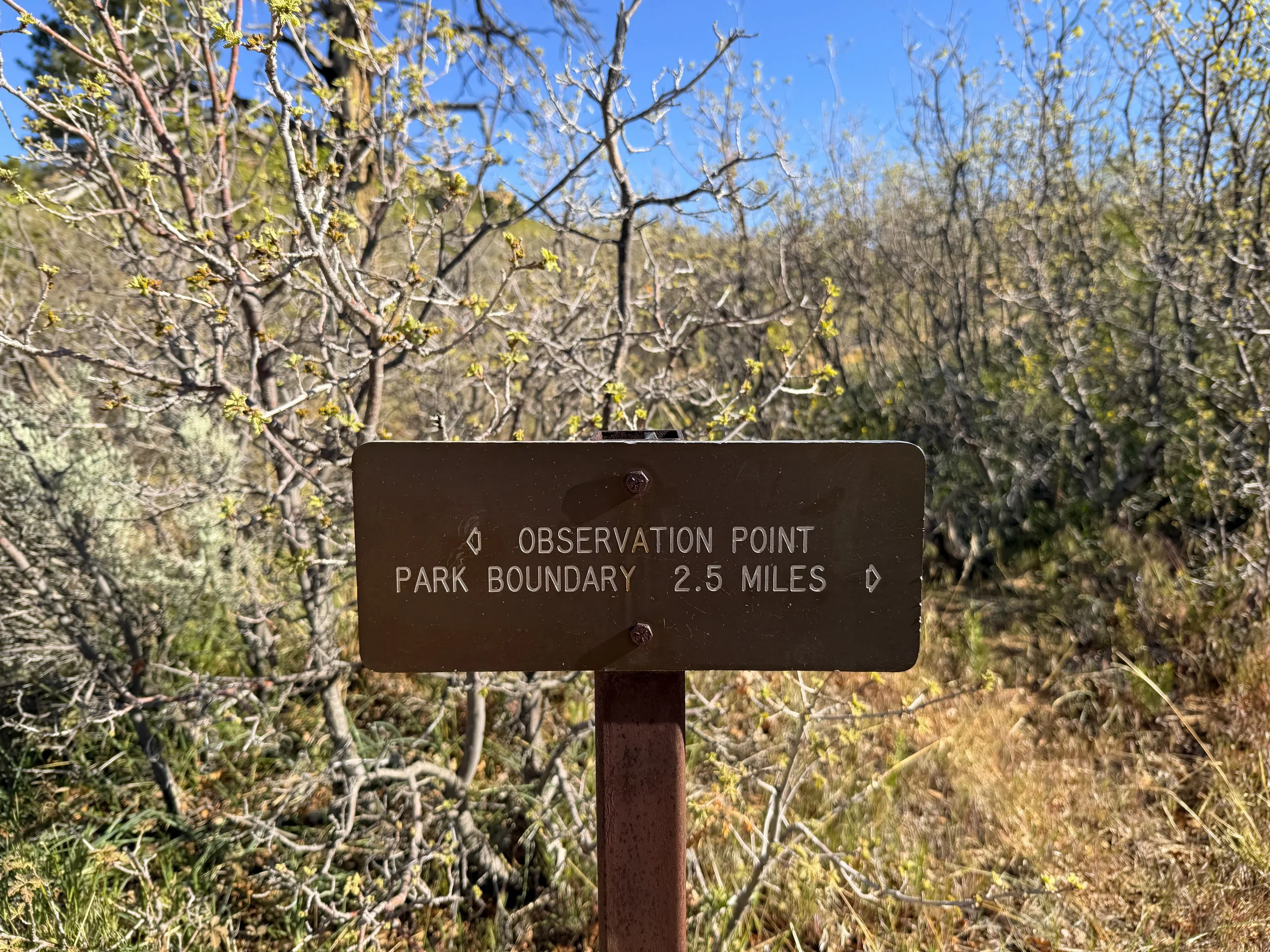 Observation Point Trail Zion National Park Utah