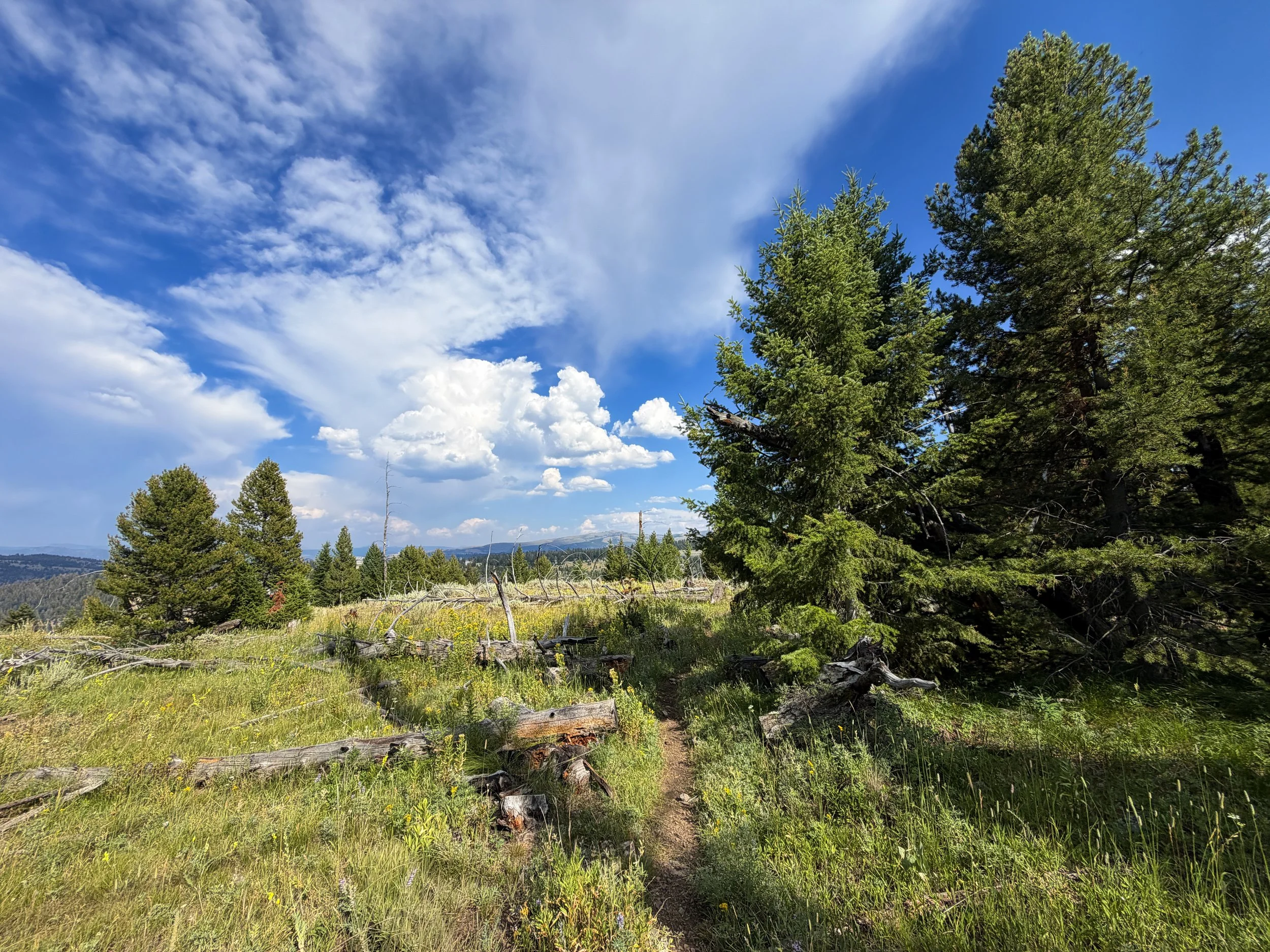 Bunsen Peak Trail Yellowstone National Park Wyoming