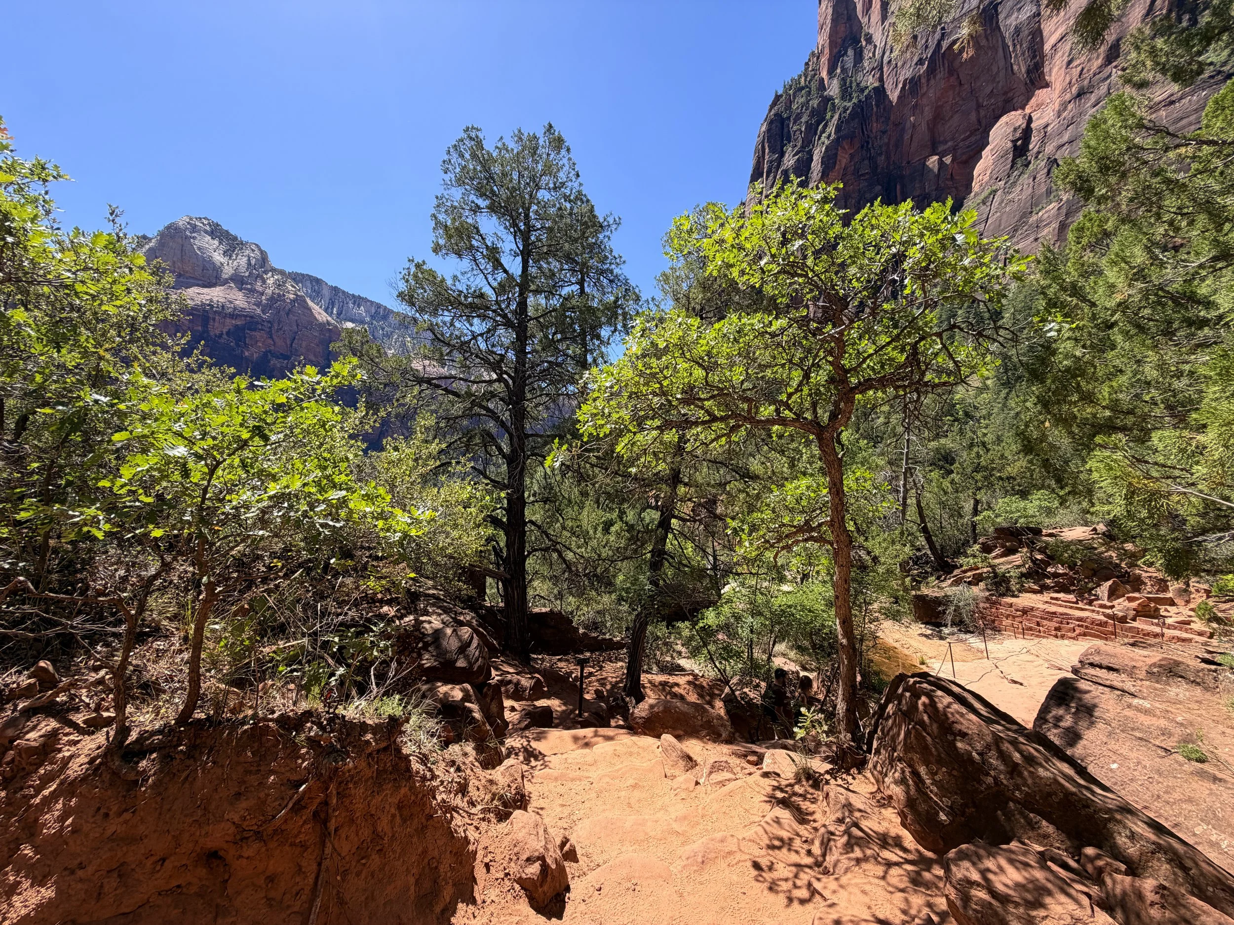 Middle Emerald Pools Trail Zion National Park Utah