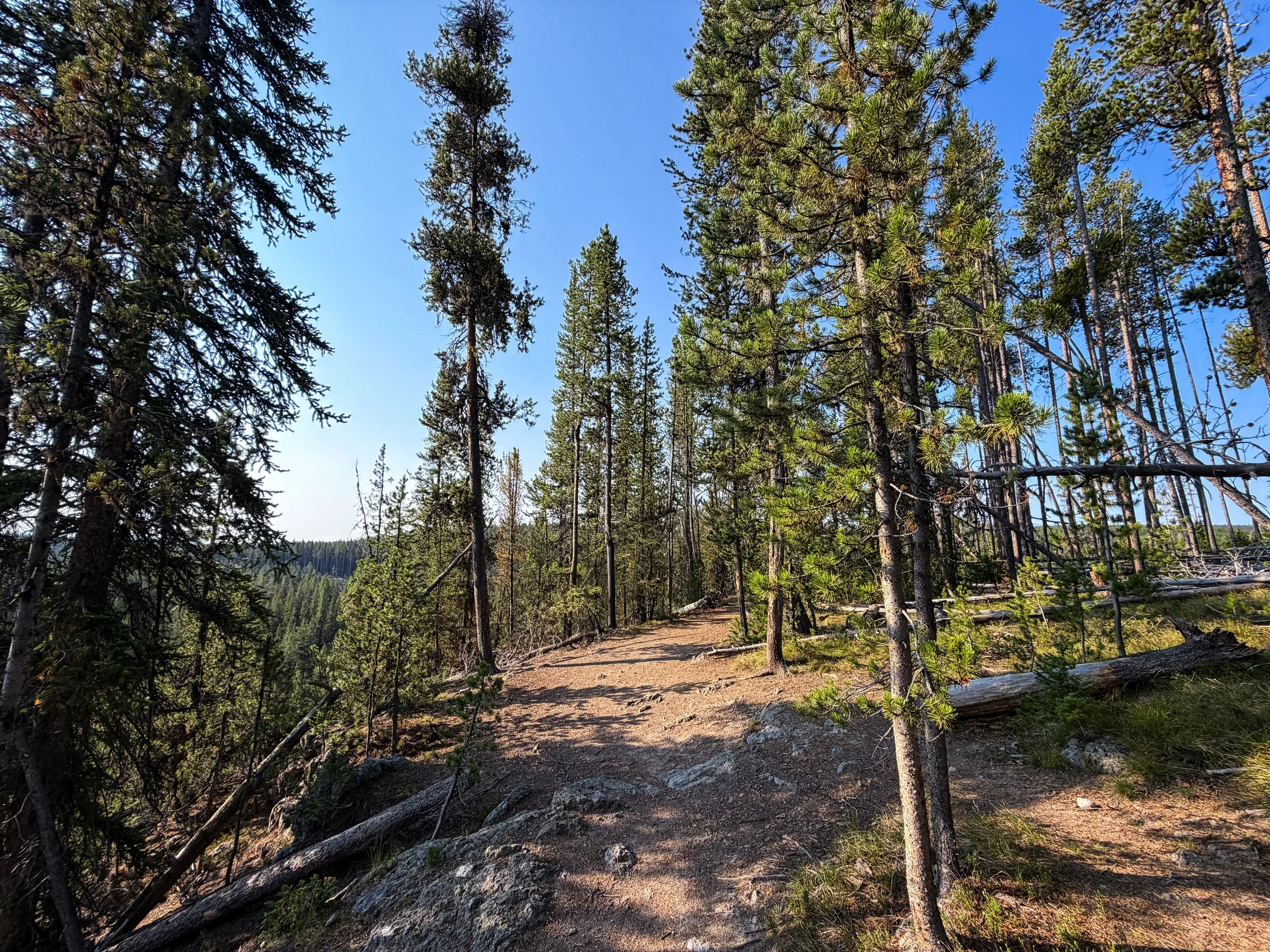 Natural Bridge Trail Yellowstone National Park Wyoming