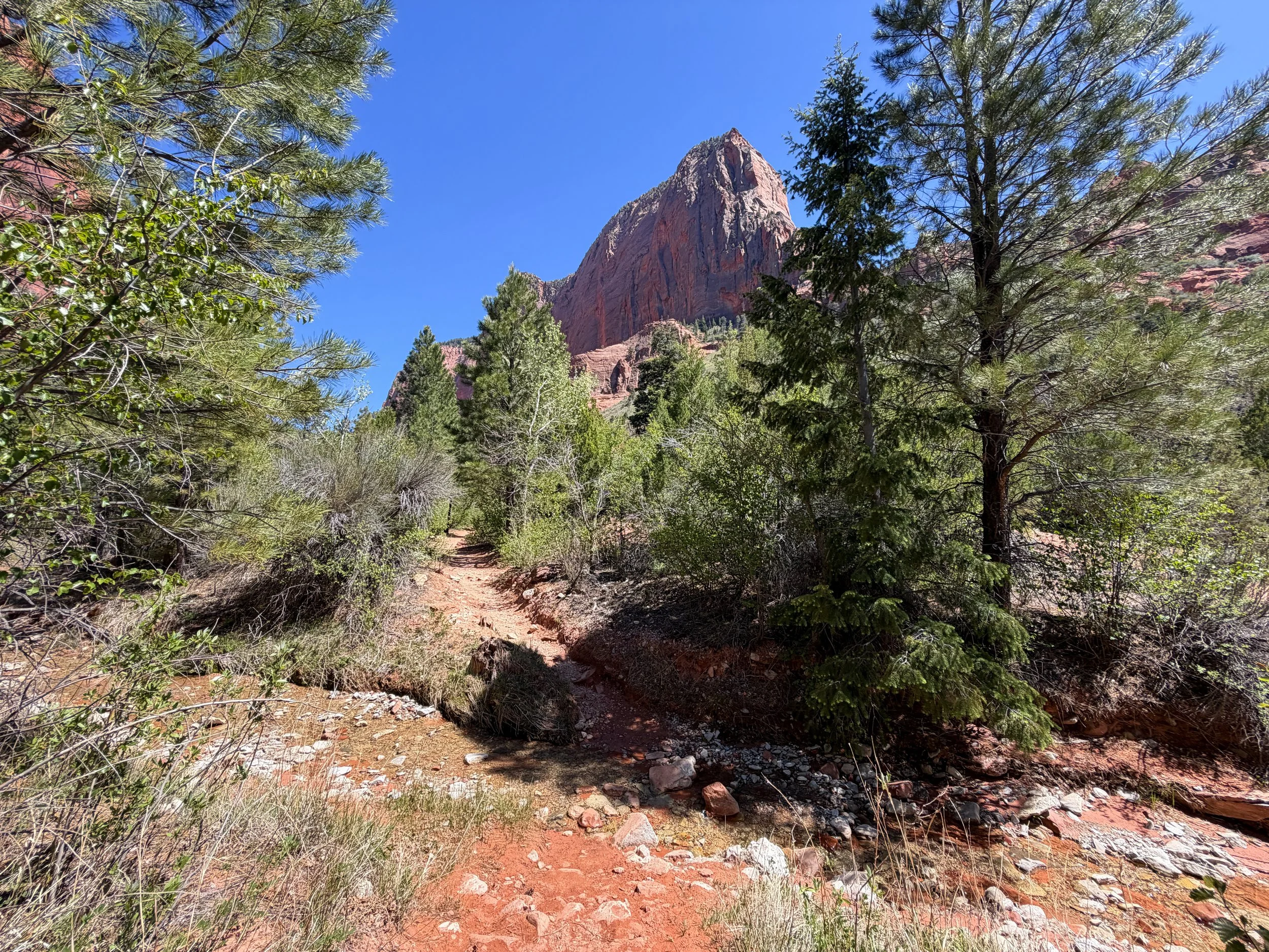Taylor Creek Trail Zion National Park Utah