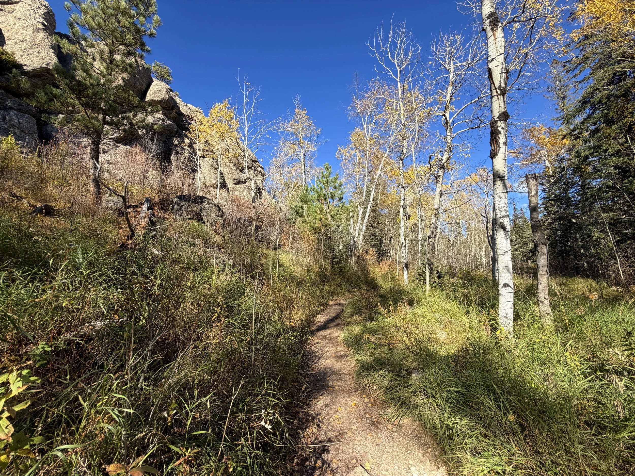 Little Devils Tower Trail Custer State Park Black Hills South Dakota