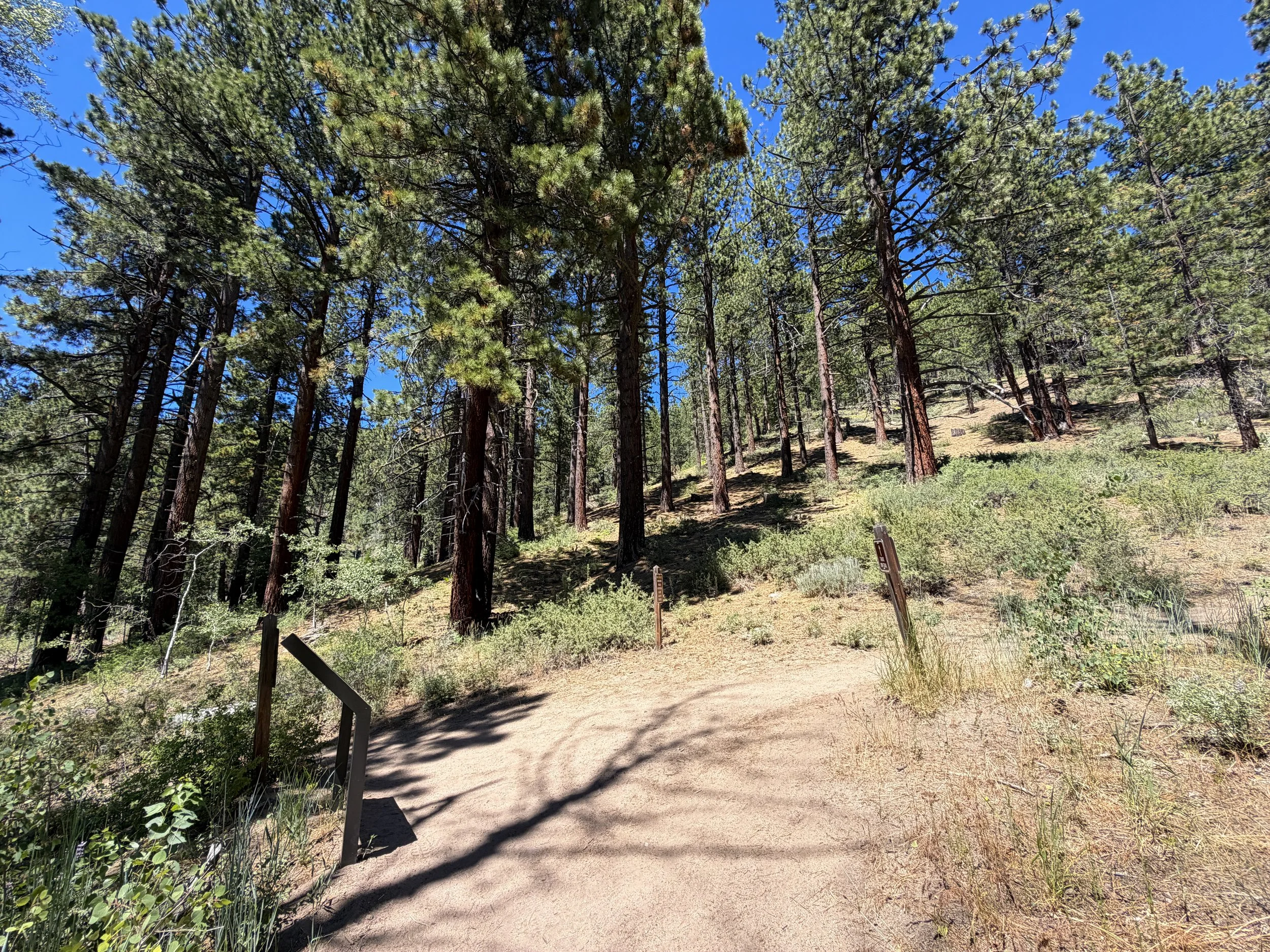 Spooner Lake Loop Trail Lake Tahoe Nevada
