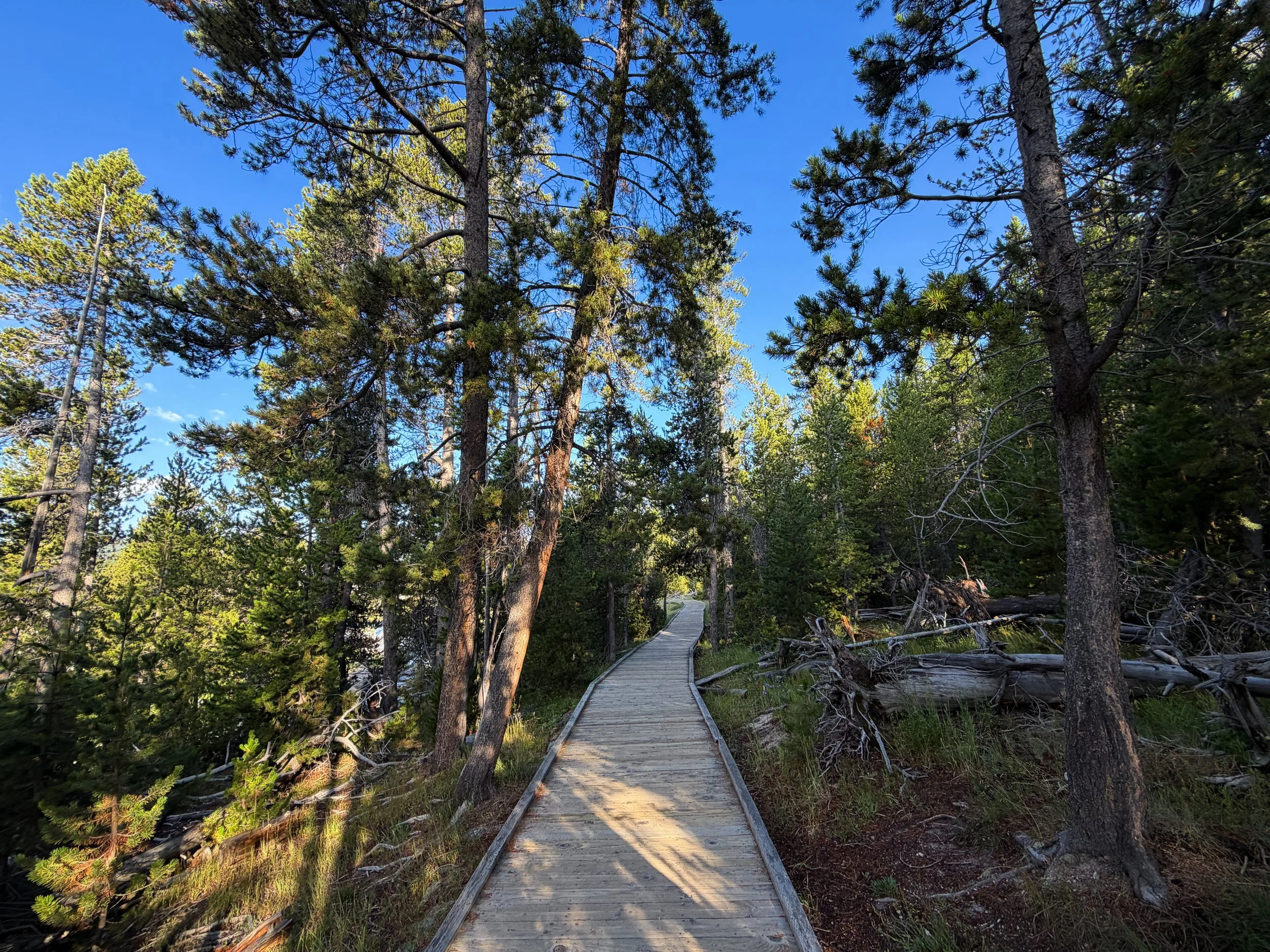 Upper Geyser Basin Trail Yellowstone National Park Wyoming