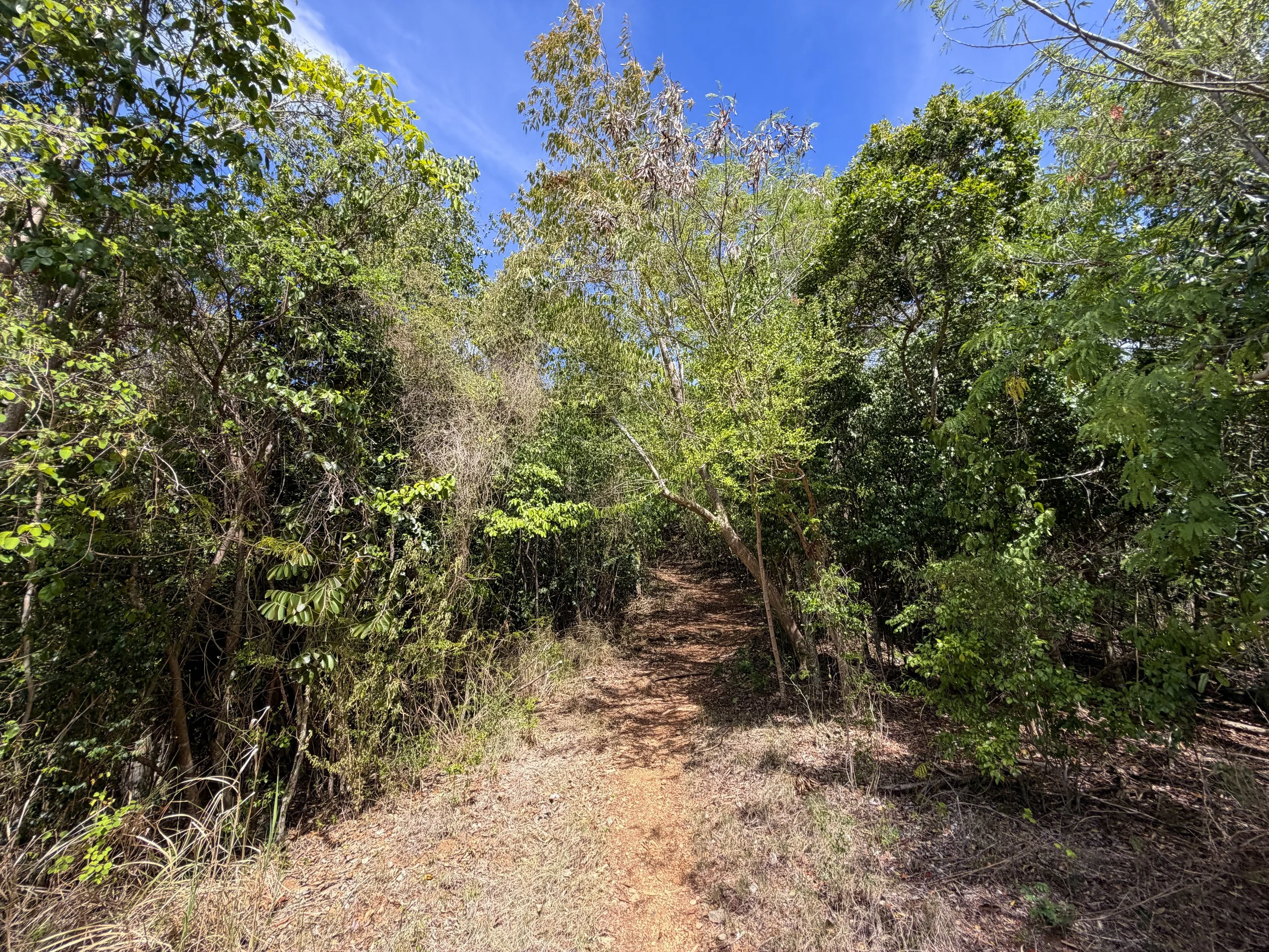 Lameshur Bay Hike Virgin Islands National Park