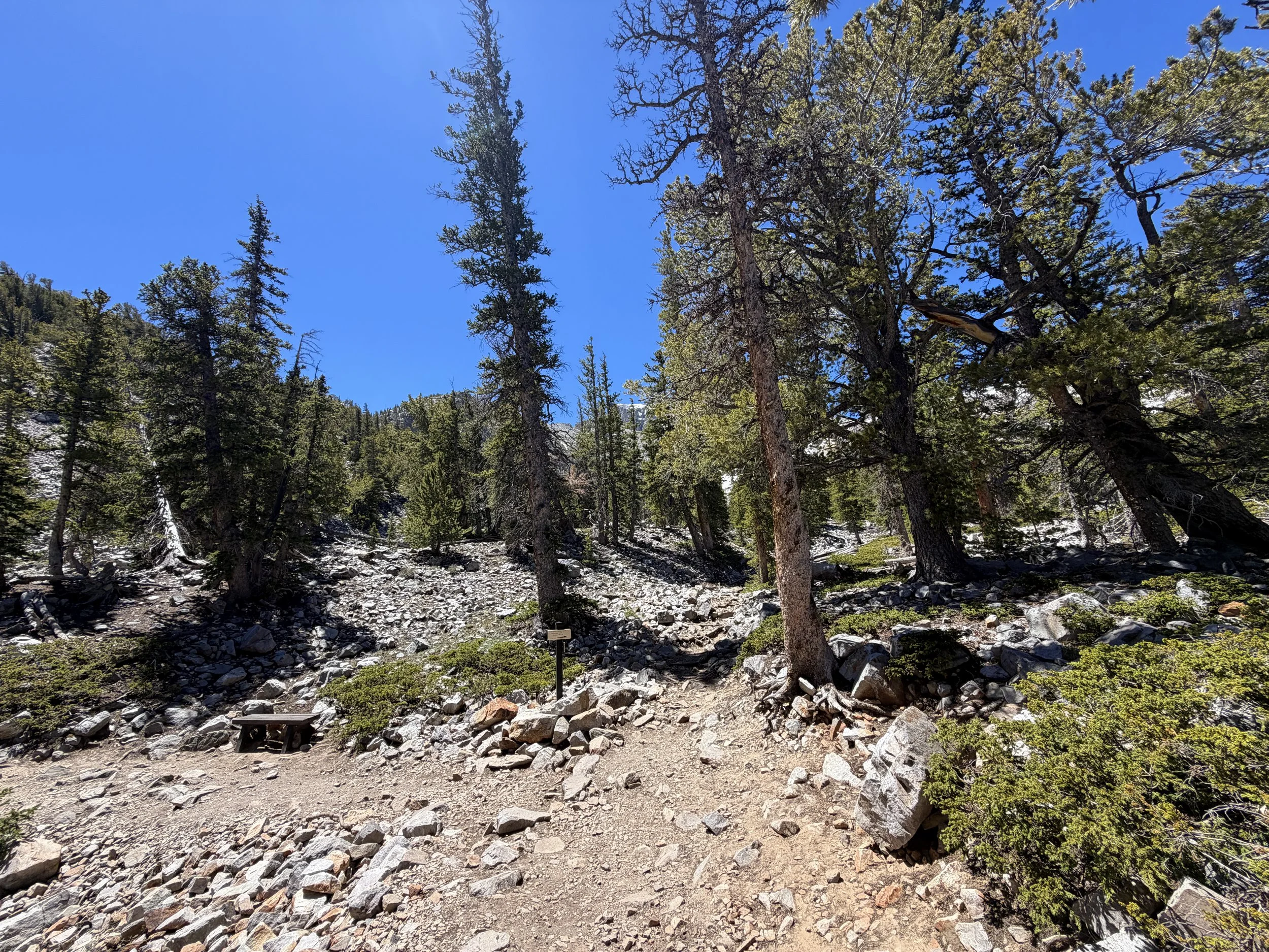Bristlecone Hike Great Basin National Park Nevada