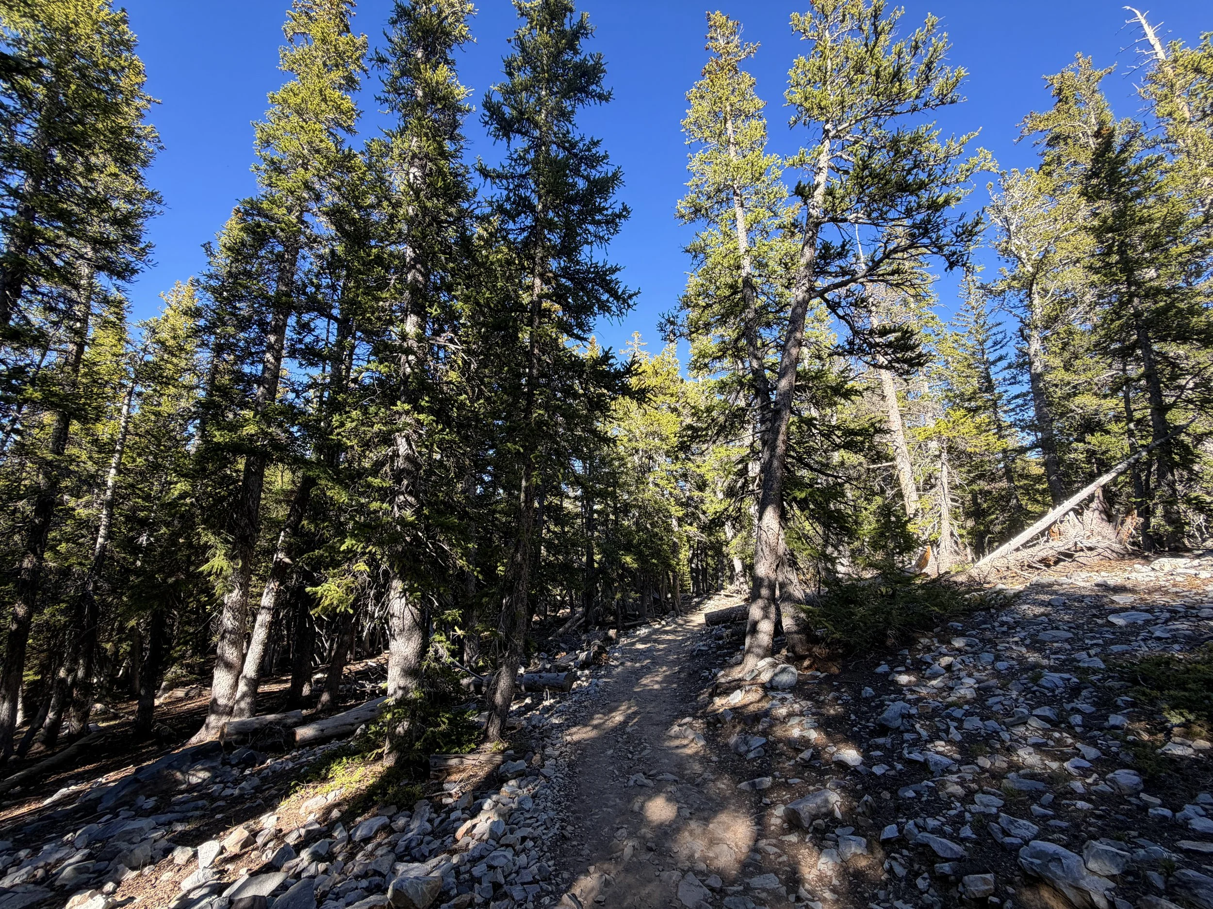 Alpine Lakes Loop Trail Great Basin National Park Nevada