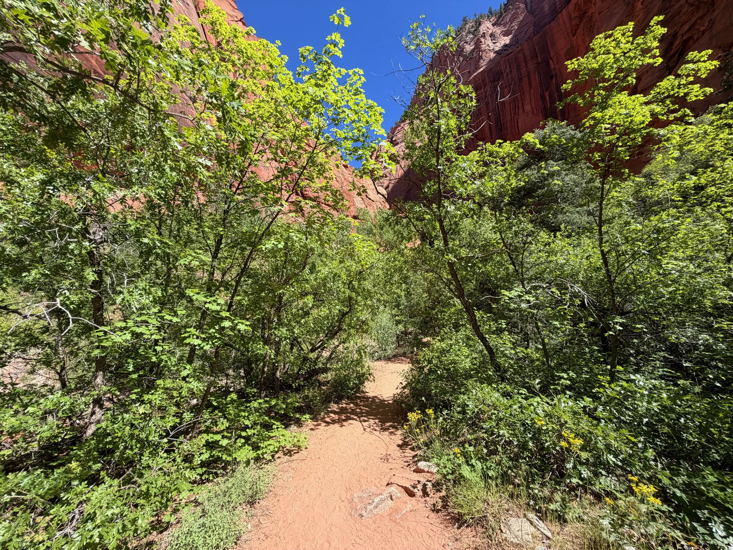 Taylor Creek Trail Zion National Park Utah