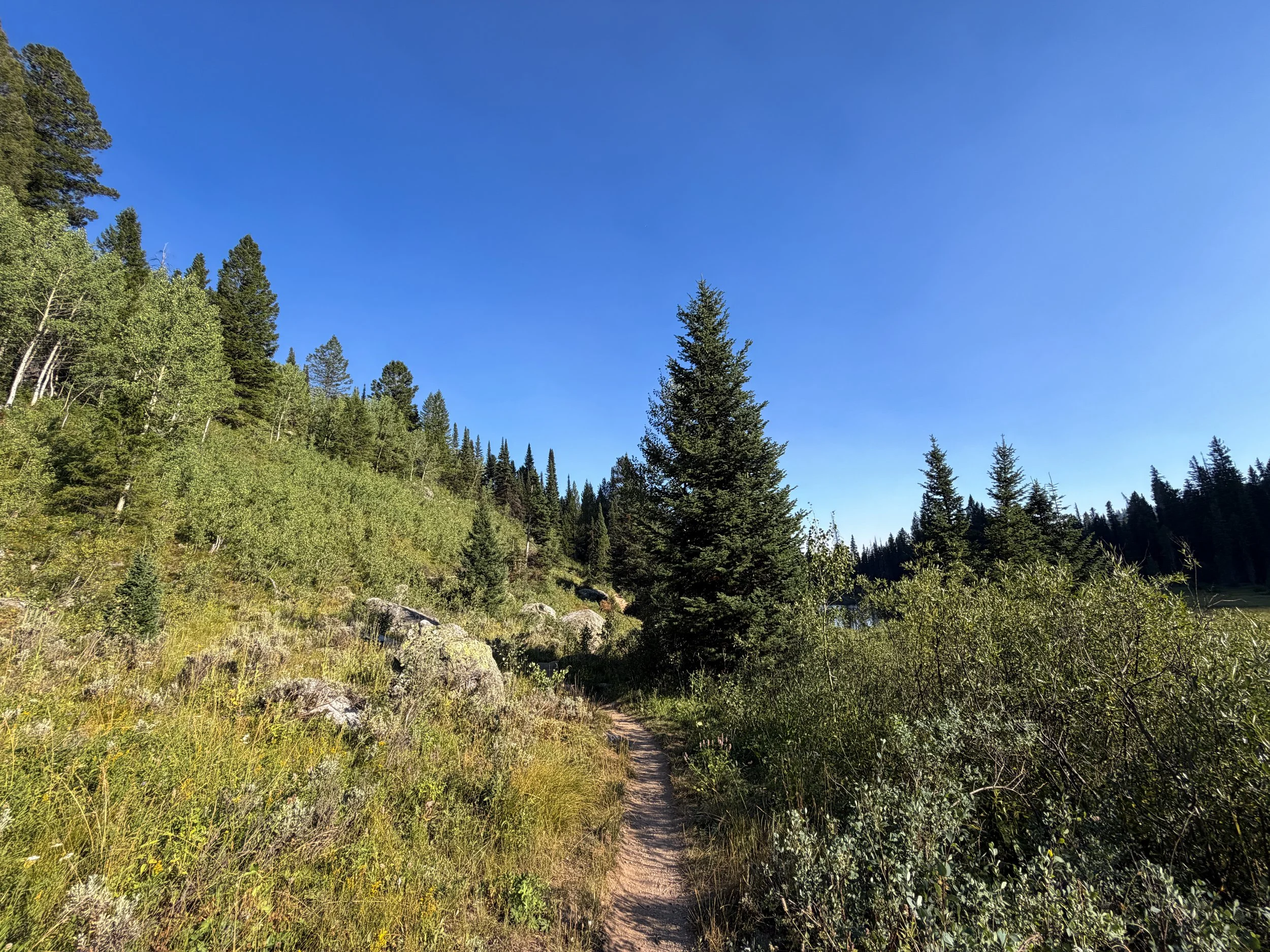 Moose Ponds Loop Trail Grand Teton National Park Wyoming